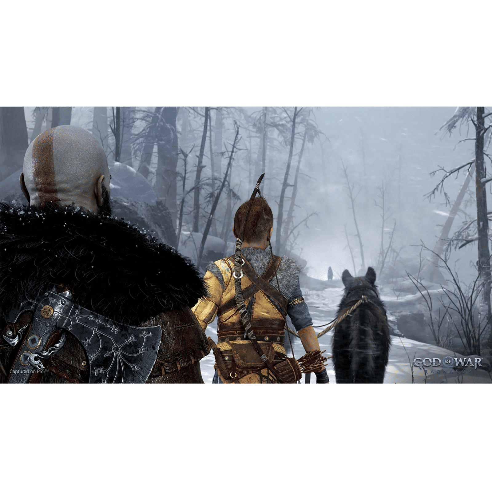 SONY God Of War Ragnarok for PS4 (Action, Adventure, Launch Edition, 50668578)_5