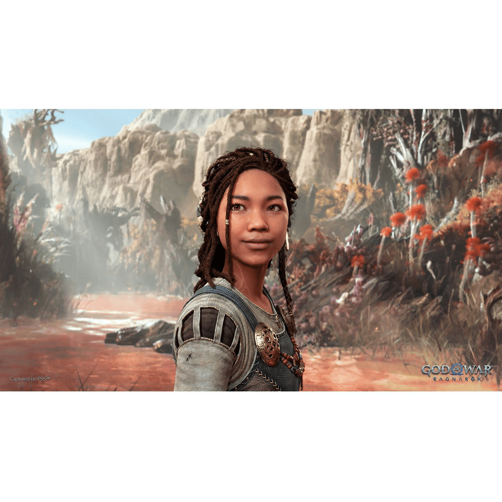 SONY God Of War Ragnarok for PS4 (Action, Adventure, Launch Edition, 50668578)_6