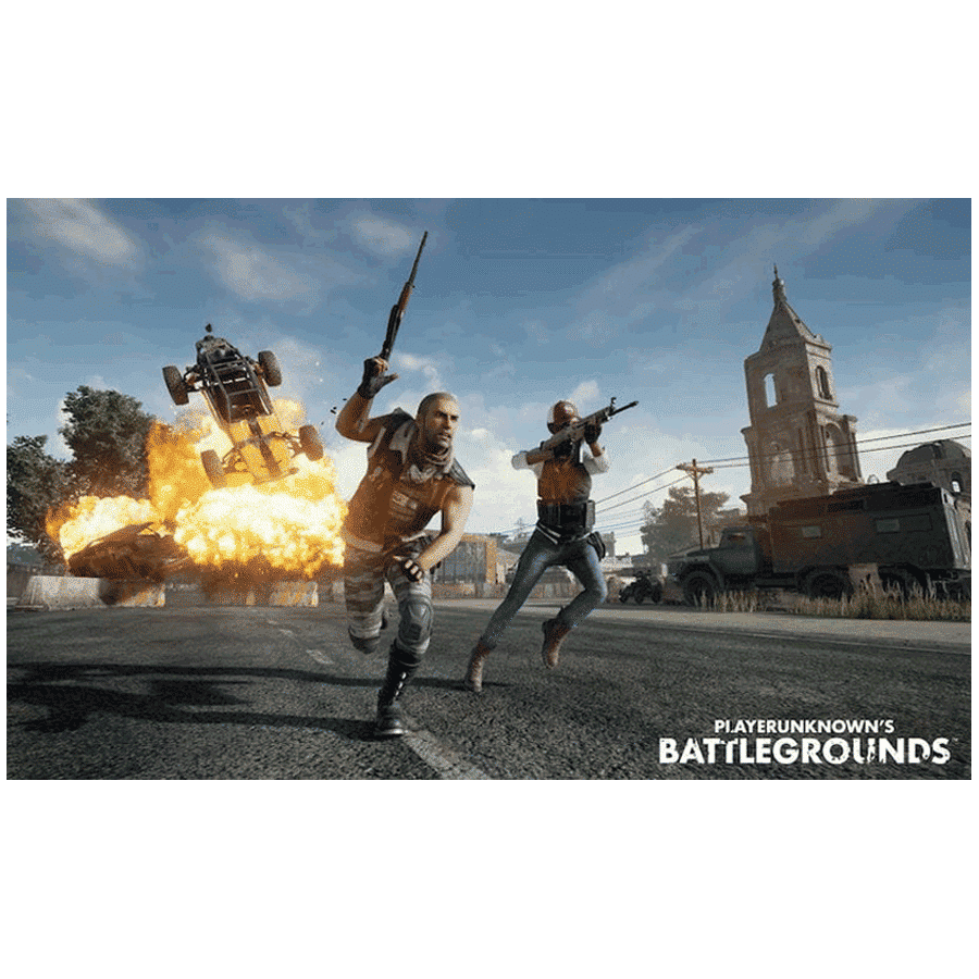SONY PUBG Playstation 4 (CUSA-14460)_3