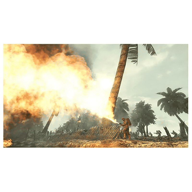 ACTIVISION PC Game (Call of Duty: World At War)_10