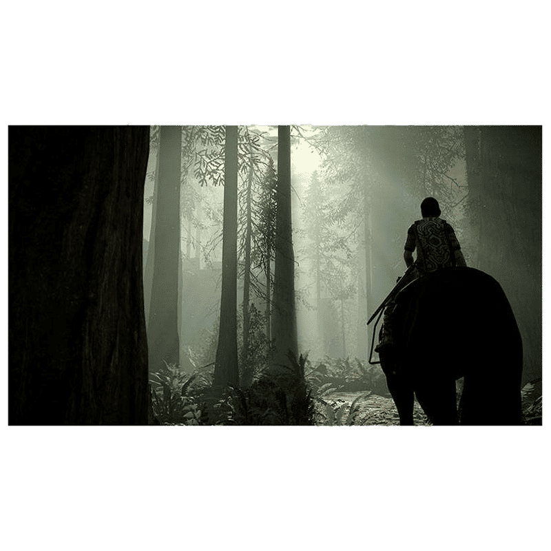 PS4 Game (Shadow of the Colossus)_3