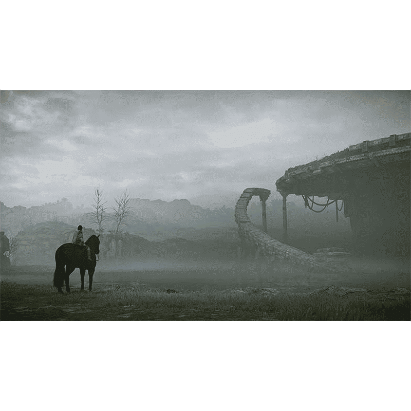 PS4 Game (Shadow of the Colossus)_5