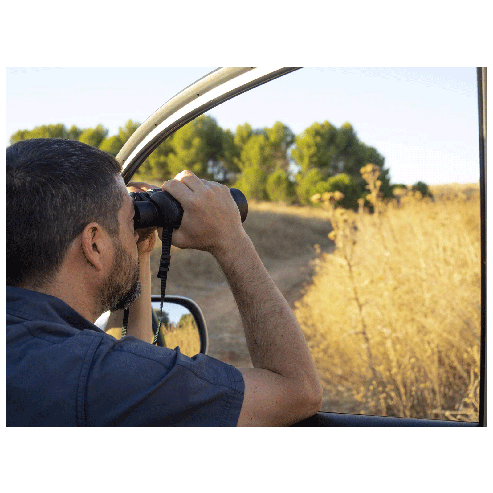 OLYMPUS 10 x 50 mm Porro Prism Optical Binoculars (Bright and Wider Field of View, 10X50 S, Black)_3