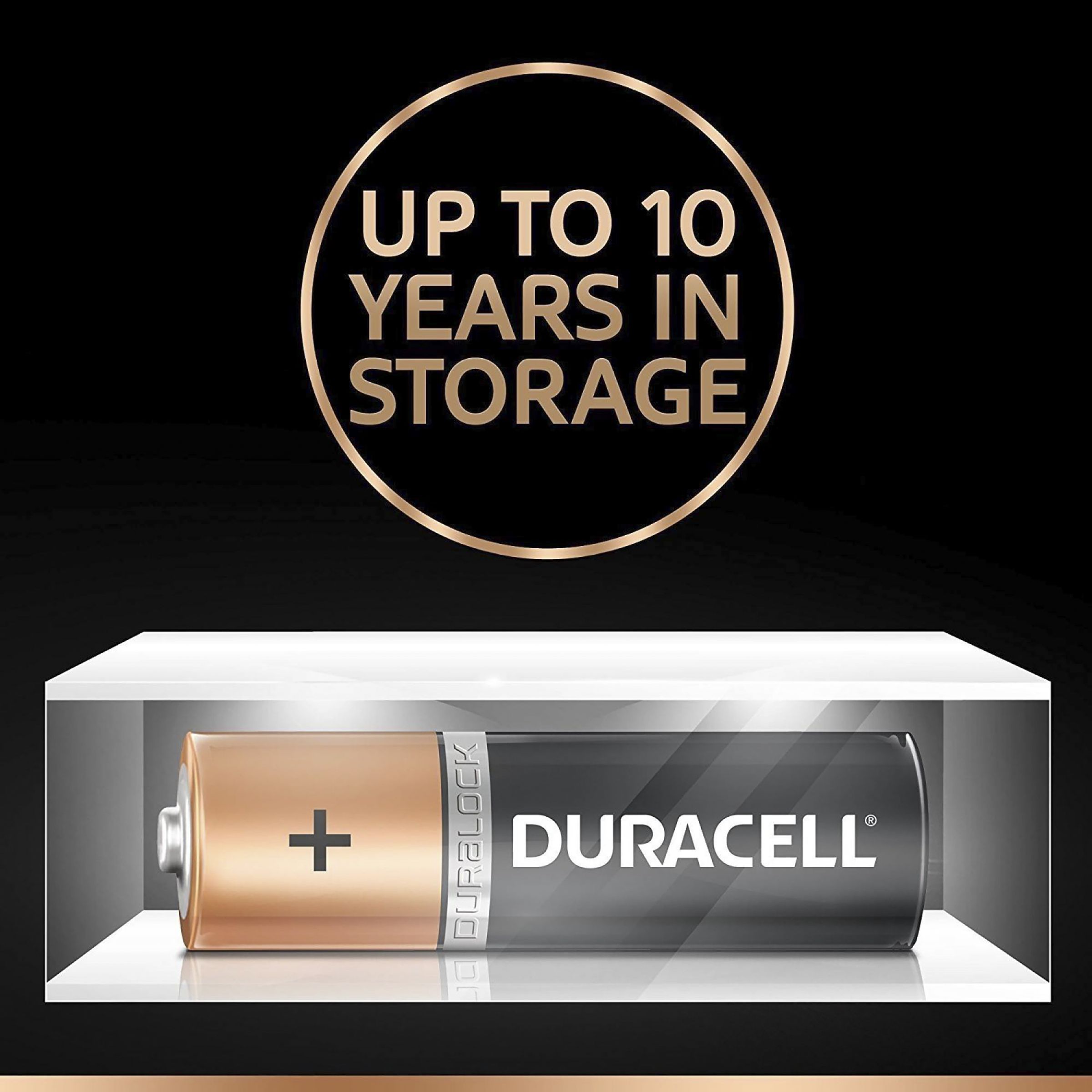DURACELL D 2 1300 mAh Alkaline Battery (Pack of 2)_2