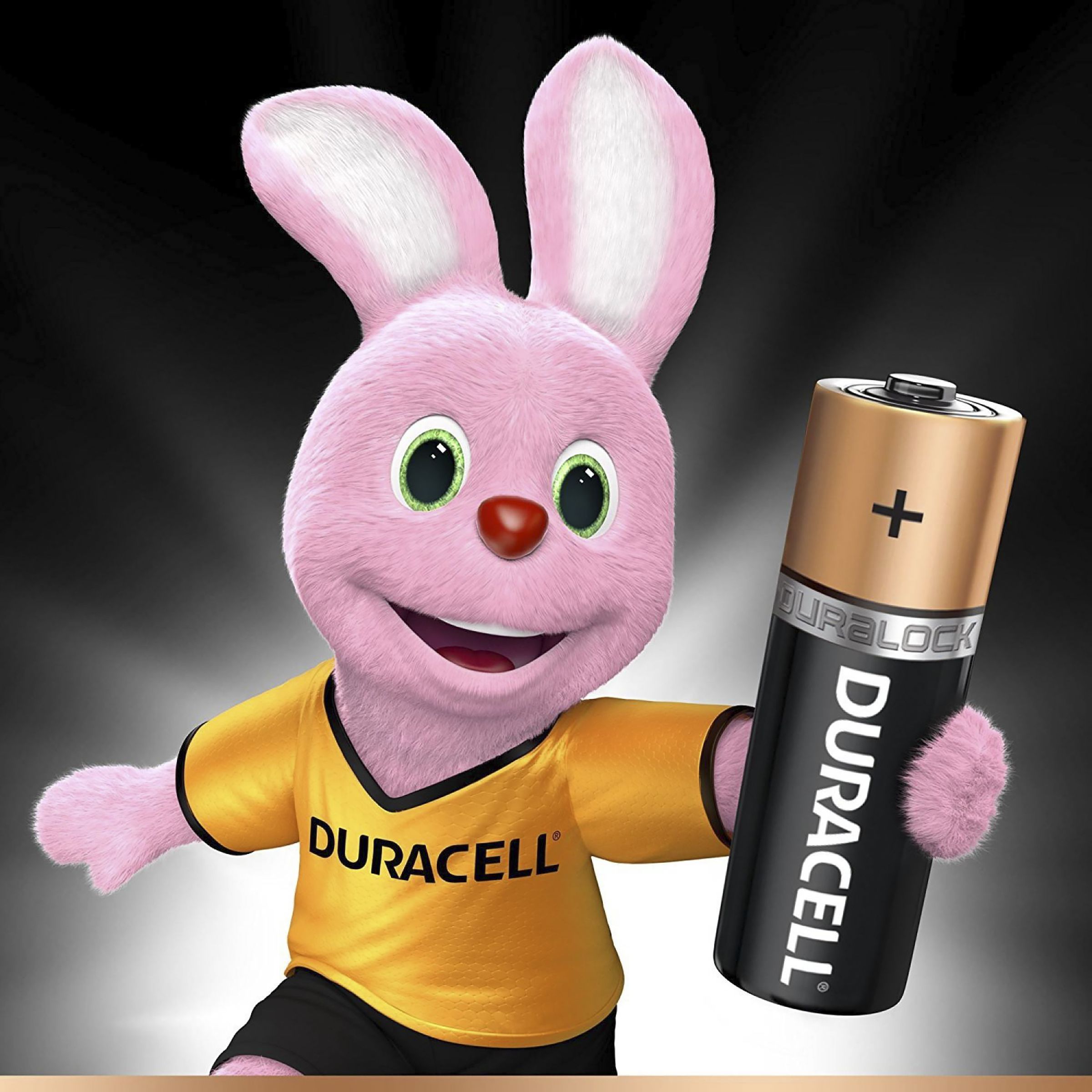 DURACELL C 2 1400 mAh Alkaline Battery (Pack of 2)_2