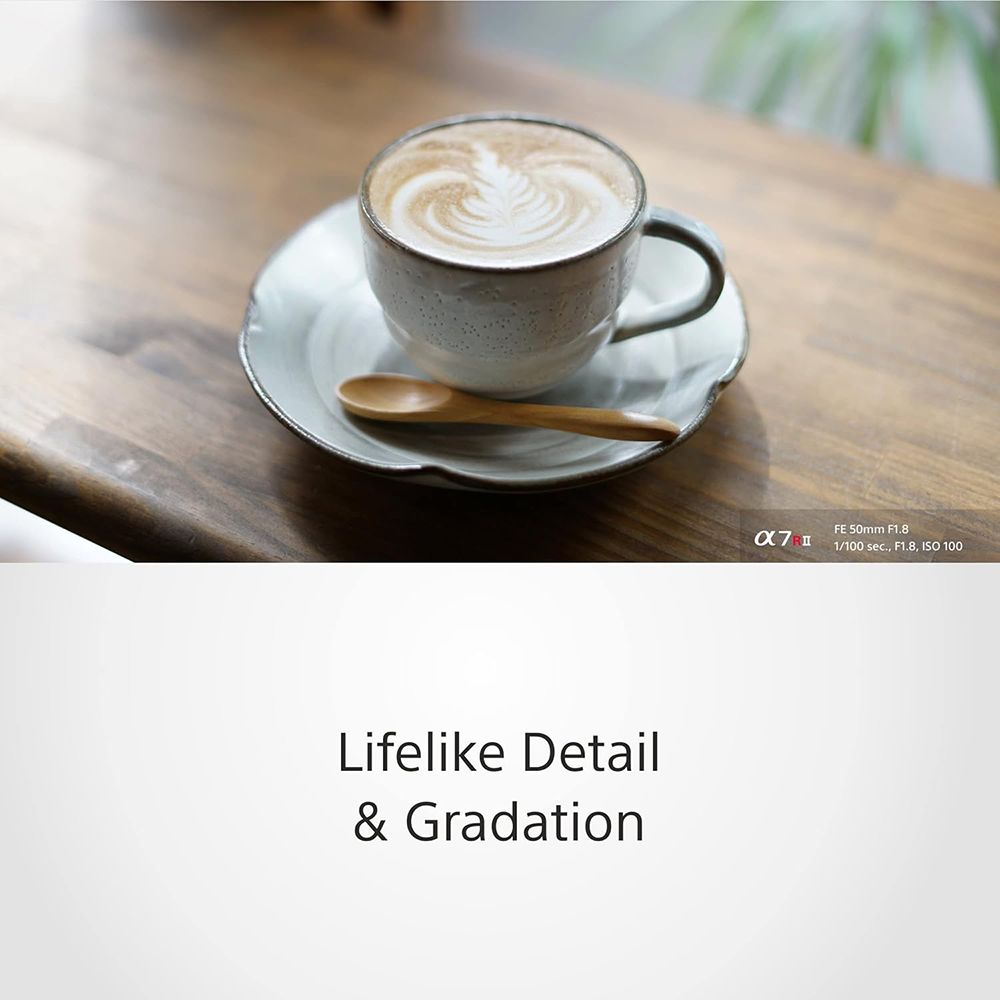 SONY 50mm f/1.8 - f/22 Standard Prime Lens for SONY E Mount (DC Motor Drive System) SONY 50mm f/1.8 - f/22 Standard Prime Lens for SONY E Mount (DC Motor Drive System)_6