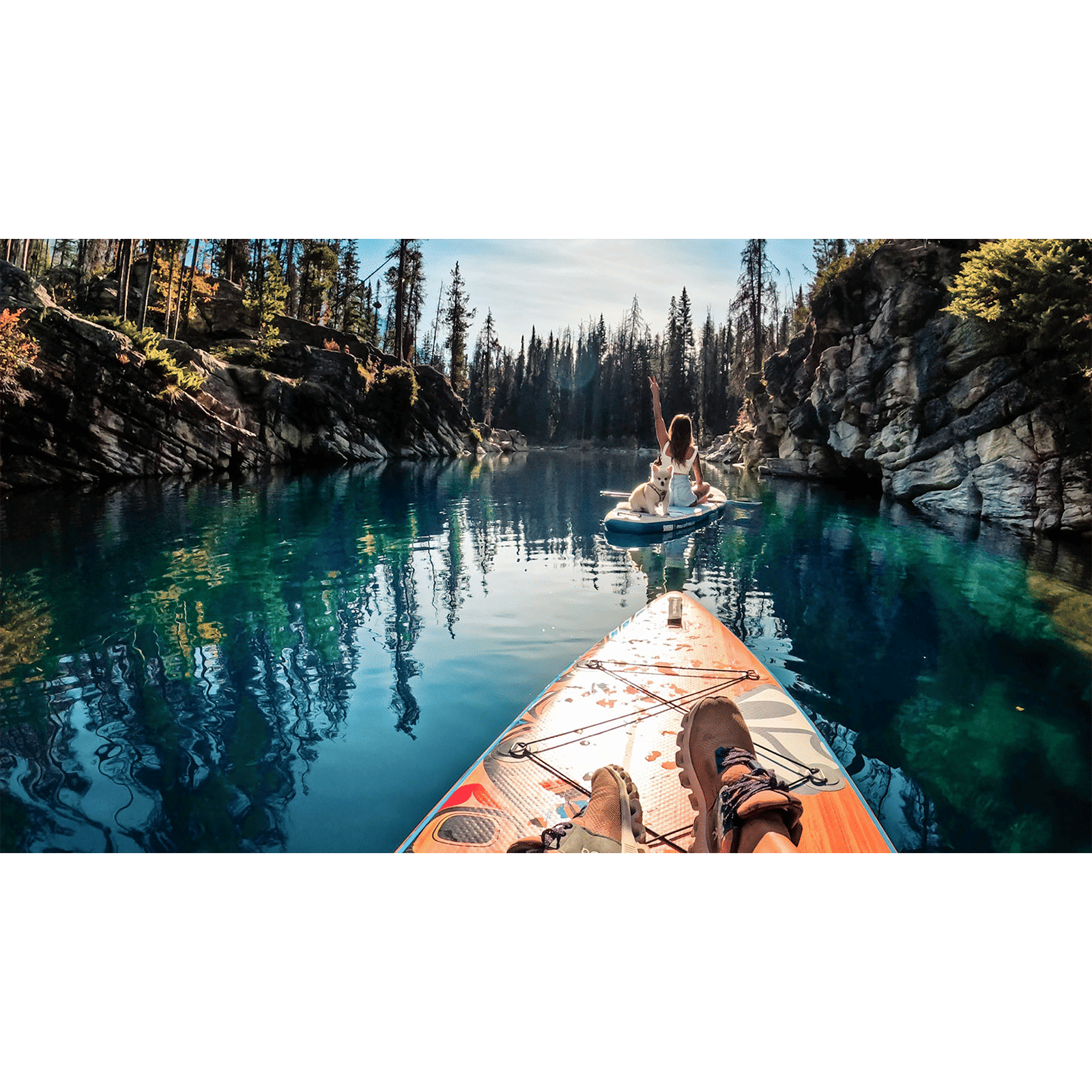 GoPro Hand and Wrist Mount for Camera (360 Degree Rotation, Black)_10