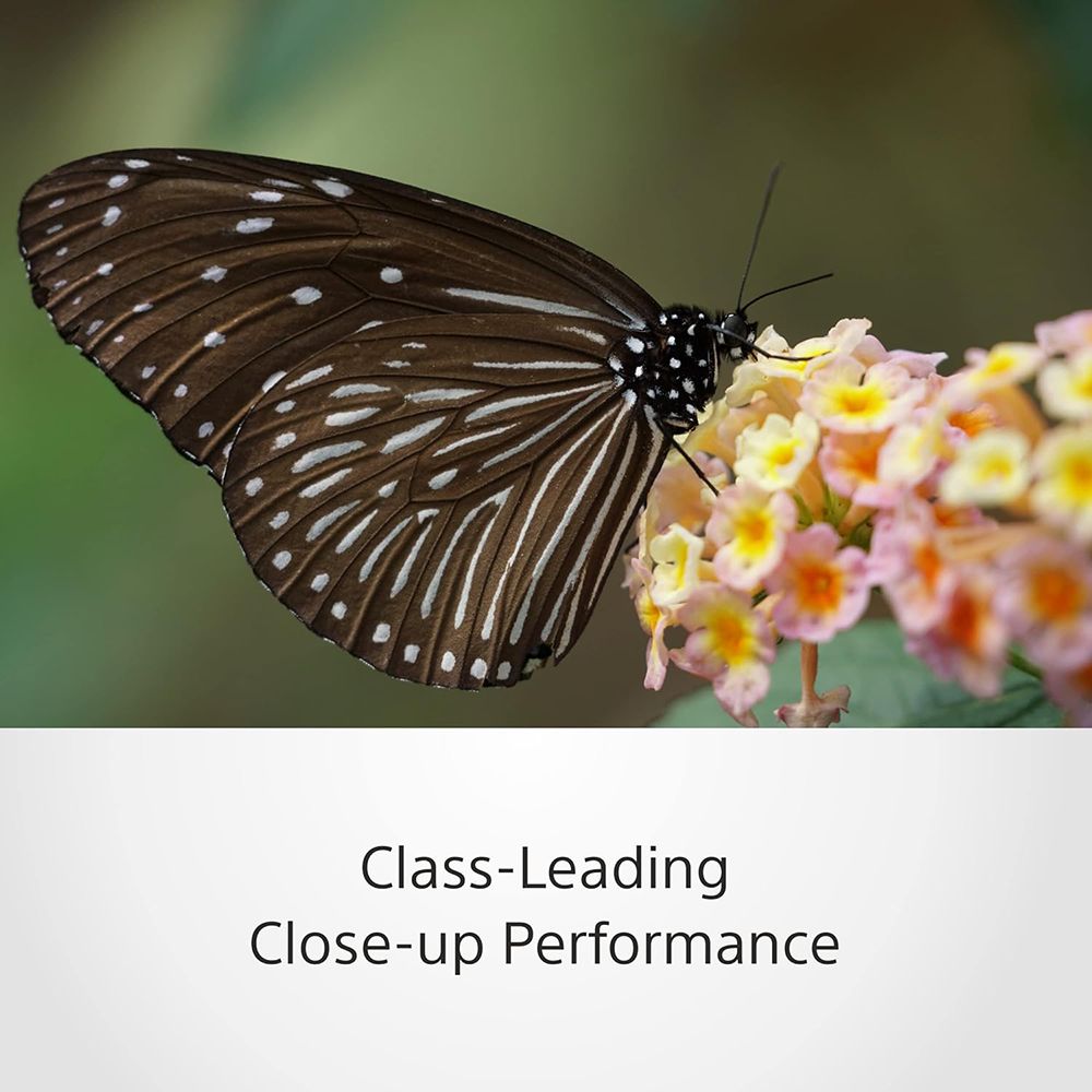 SONY 70-300mm f/4.5 - f/5.6 Telephoto Zoom Lens for SONY E Mount (Dust & Moisture Resistant) SONY 70-300mm f/4.5 - f/5.6 Telephoto Zoom Lens for SONY E Mount (Dust & Moisture Resistant)_8