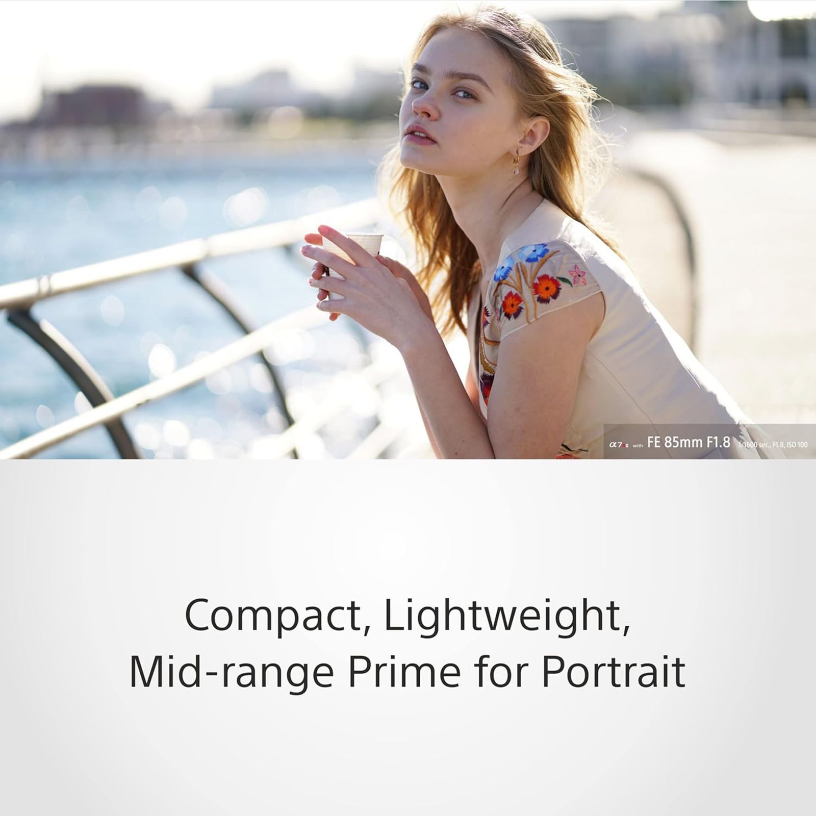 SONY 85mm f/1.8 - f/22 Telephoto Prime Lens for SONY E Mount (Dust & Moisture Resistant)_8