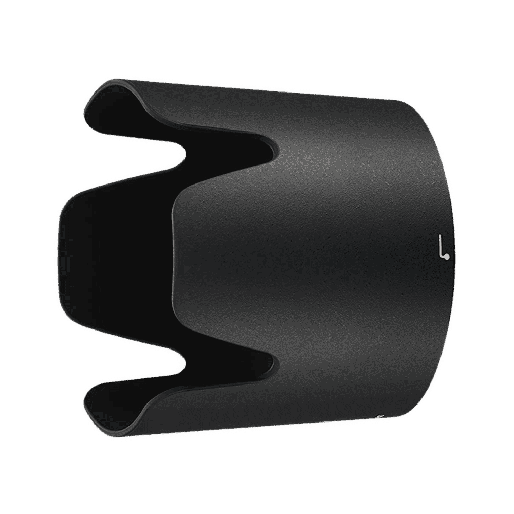 Nikon AF-P NIKKOR 70-300mm f/4.5 - f/5.6 Telephoto Zoom Lens for Nikon F Mount (Near Silent Stepping Motor)_5