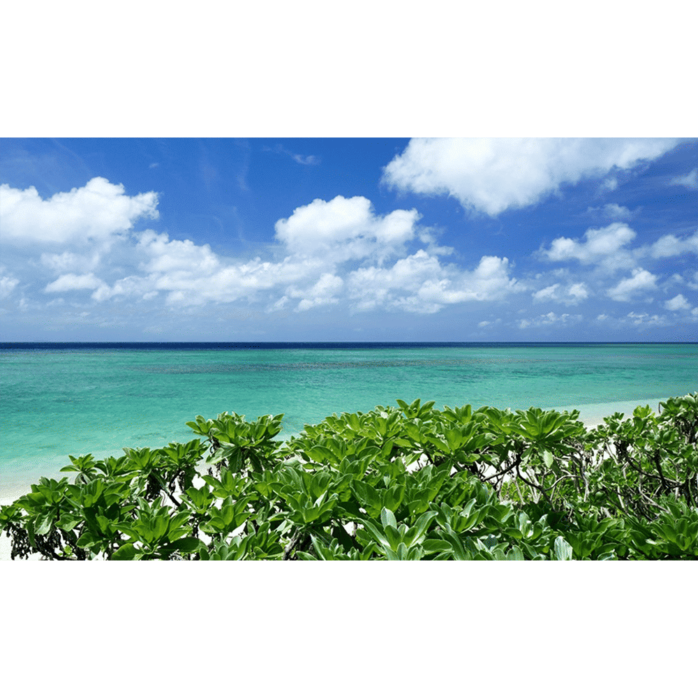 SONY 16mm f/2.8 - f/22 Wide-Angle Prime Lens for SONY E Mount (APS-C Image Sensors)_5