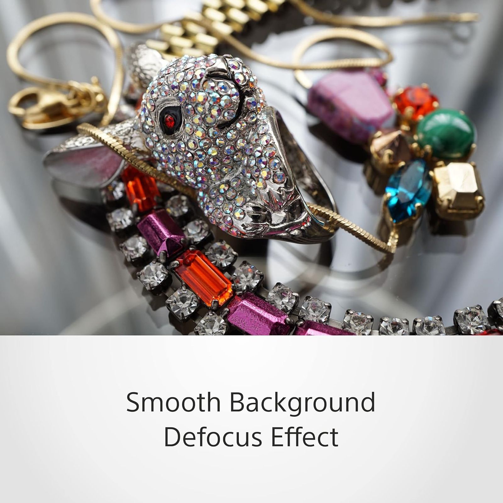 SONY 50mm f/1.8 - f/22 Telephoto Prime Lens for SONY E Mount (Optical SteadyShot Image Stabilisation)_6