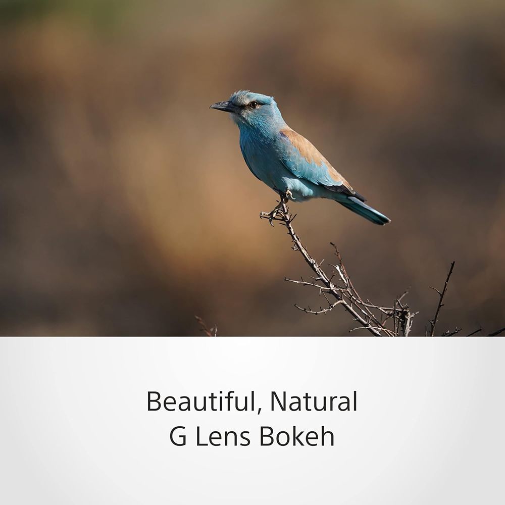 SONY 200-600mm f/5.6 - f/6.3 Telephoto Zoom Lens for SONY E Mount (Dust & Moisture Resistant) SONY 200-600mm f/5.6 - f/6.3 Telephoto Zoom Lens for SONY E Mount (Dust & Moisture Resistant)_8