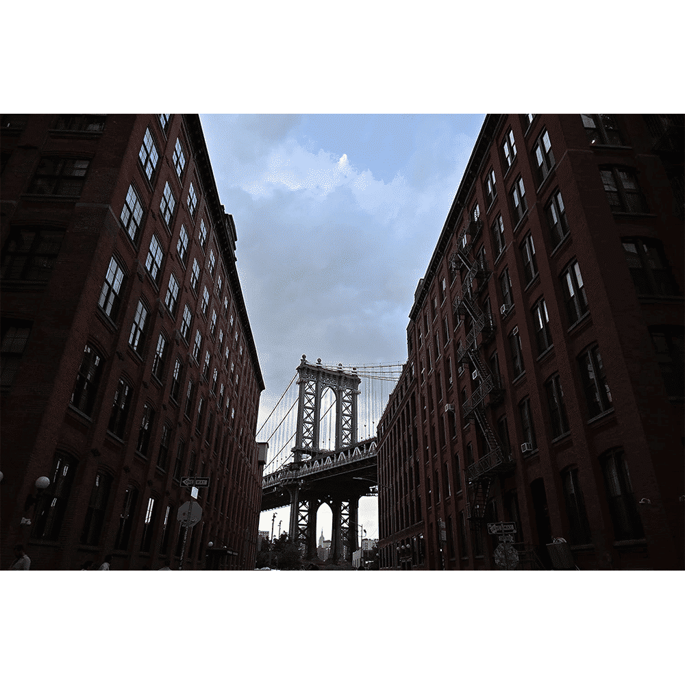 Nikon NIKKOR Z DX 16-50mm f/3.5 - f/6.3 Wide-Angle Zoom Lens for Nikon Z Mount (Autofocus)_7