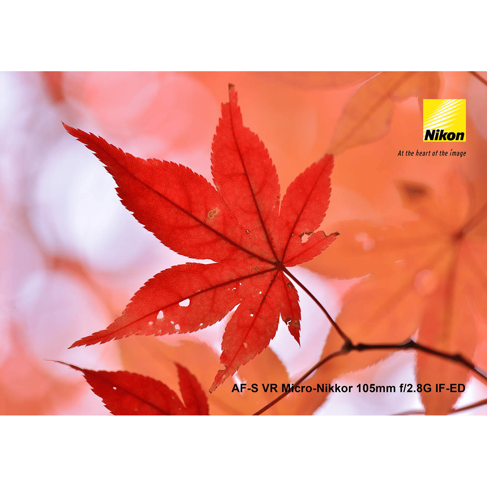 Nikon AF-S VR NIKKOR 105mm f/2.8 - f/32 Micro Prime Lens for Nikon F Mount (Silent Wave Motor)_6