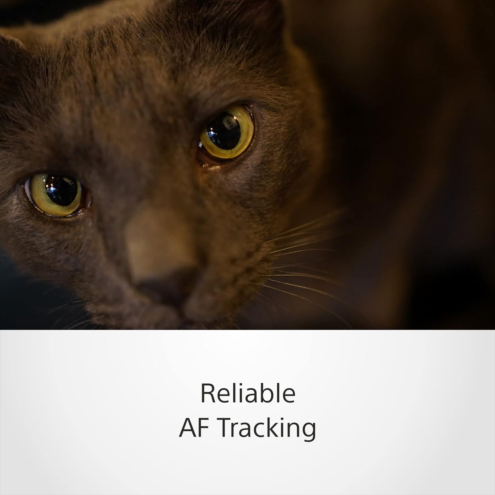 SONY 35mm f/1.8 - f/22 Wide-Angle Prime Lens for SONY E Mount (Dust & Moisture Resistant)_8