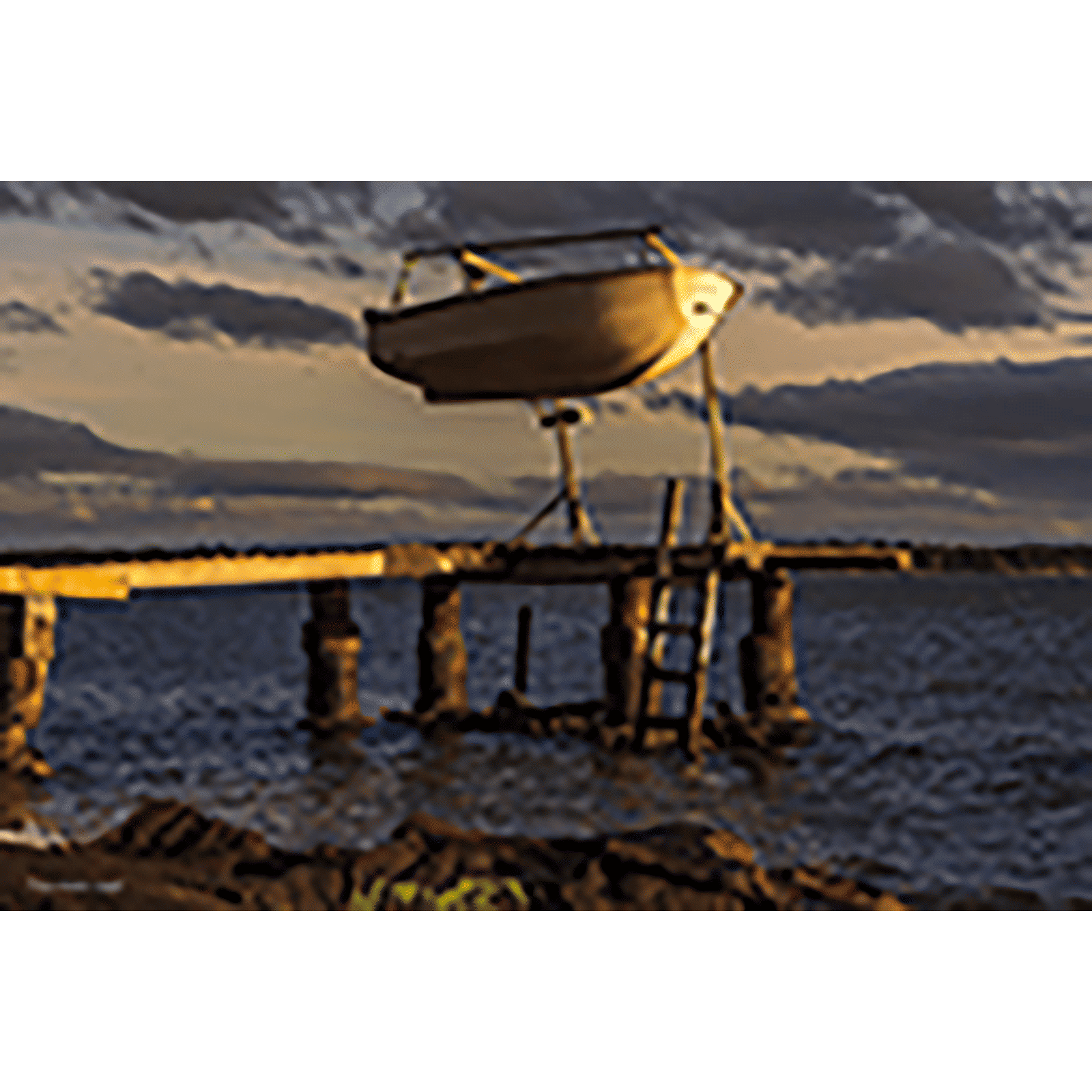 Tokina Atx-i 100mm f/2.8 - f/32 Telephoto Prime Lens for Nikon F Mount (One-touch Focus Clutch Mechanism)_11