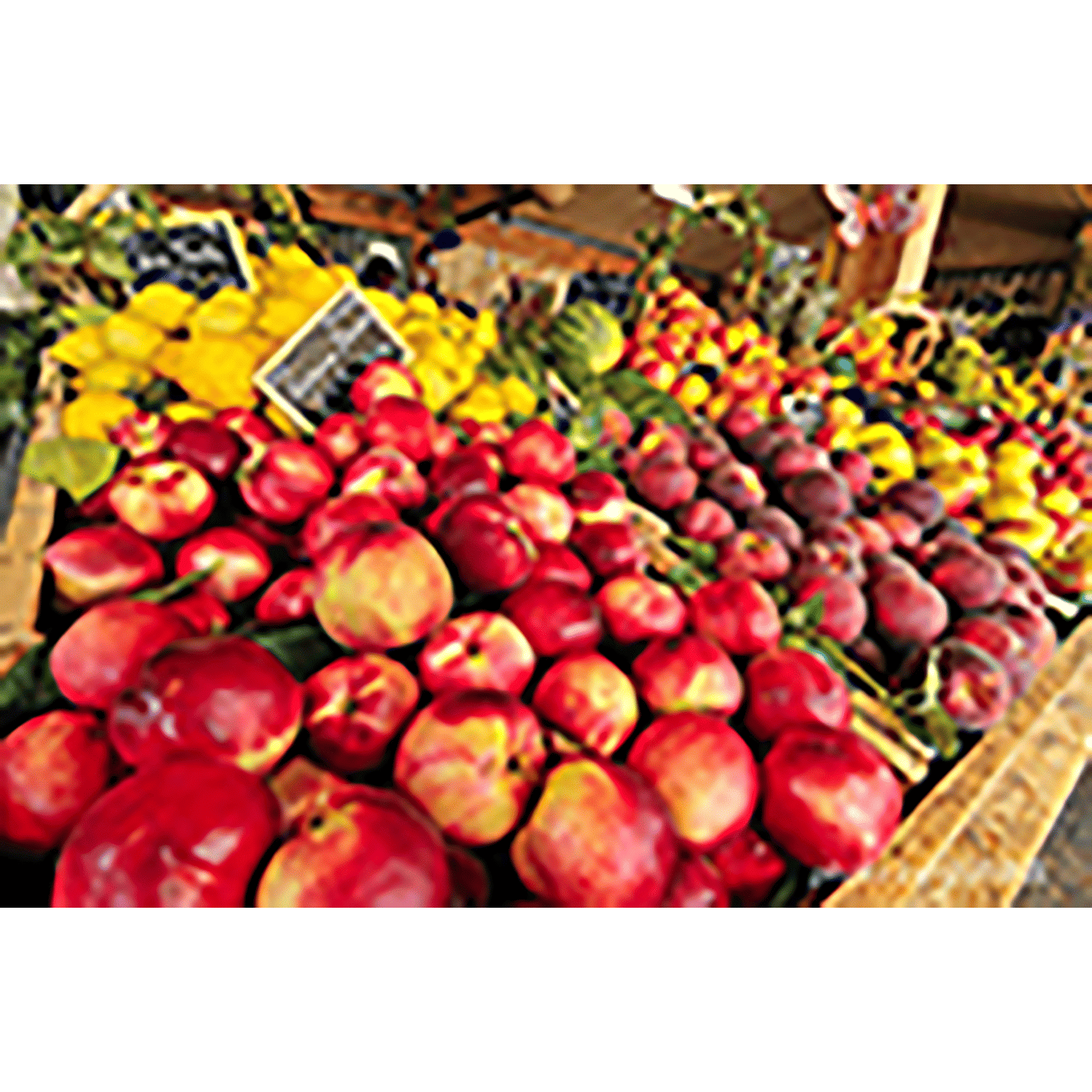 Tokina Atx-i 100mm f/32 - f/2.8 Telephoto Prime Lens for Canon EF Mount (One-touch Focus Clutch Mechanism)_12