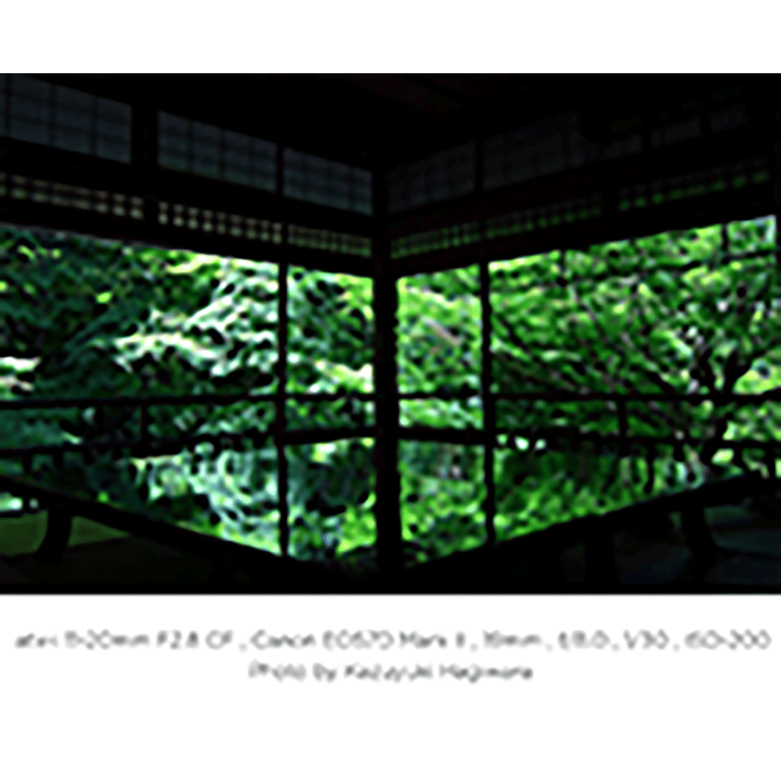 Tokina Atx-i 11-20mm f/22 - f/2.8 Wide-Angle Zoom Lens for Nikon F Mount (One-touch Focus Clutch Mechanism)_9