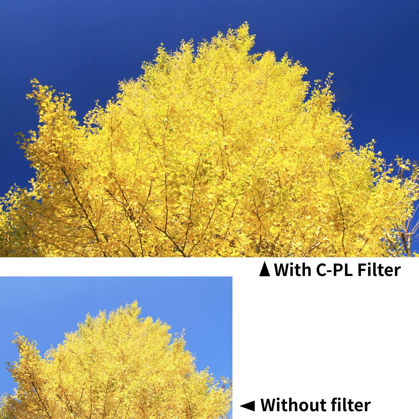 Kenko SMART C-PL 77mm Camera Lens Polarizer Filter (Absorbing Polarized Light)_6