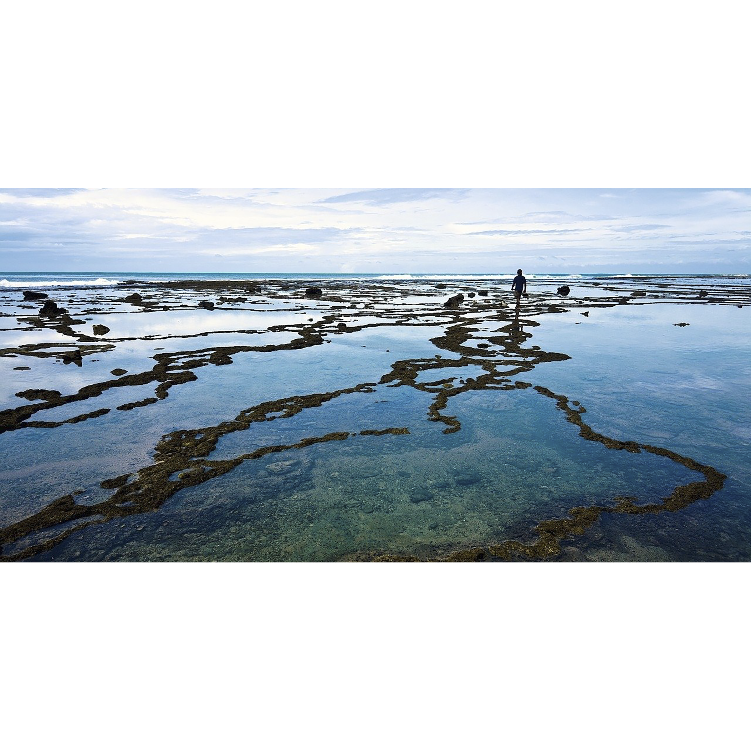 Carl Zeiss T* 72mm Camera Lens Polarizer Filter (Anti Reflective Coating)_3