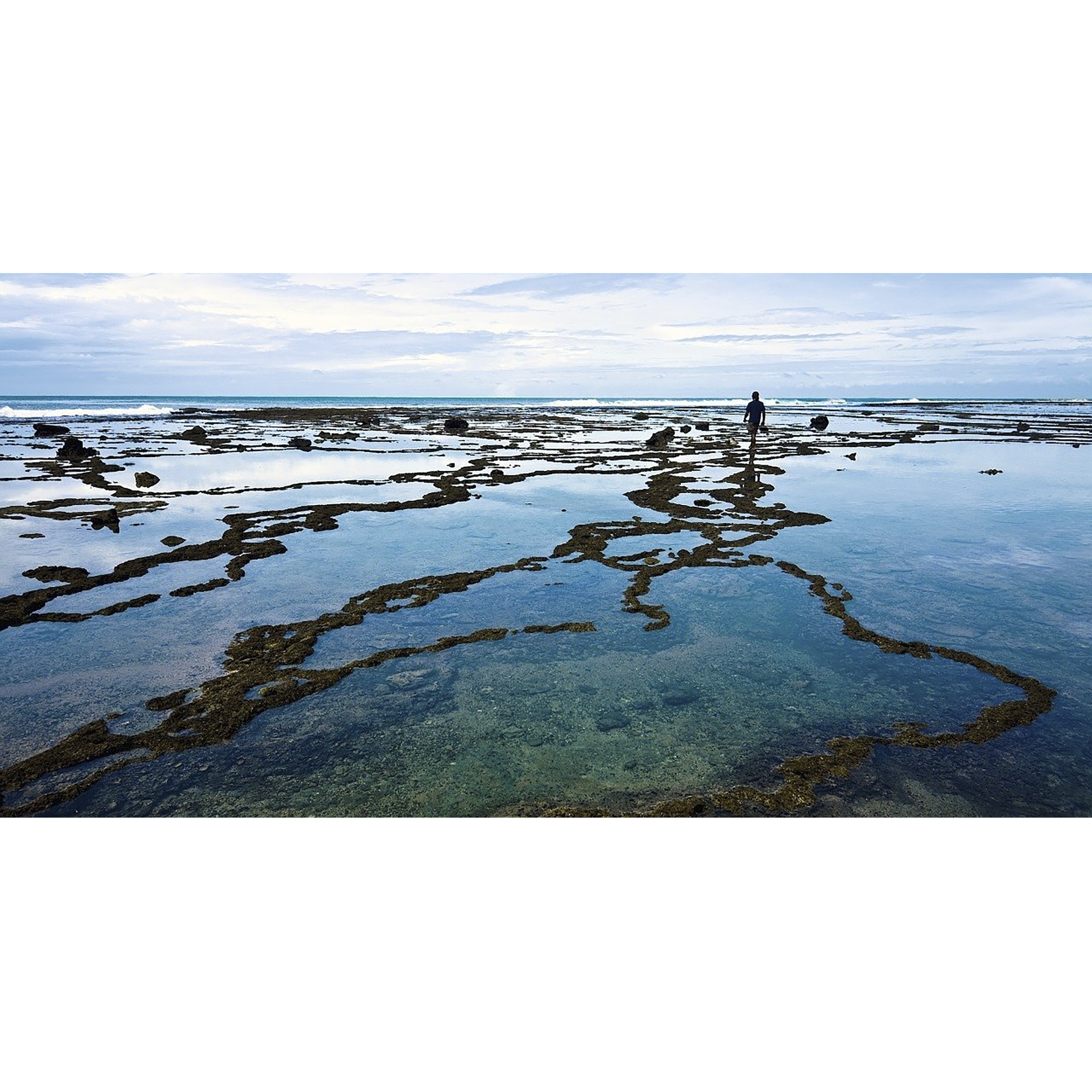 Carl Zeiss T* 77mm Camera Lens Polarizer Filter (Anti Reflective Coating)_3