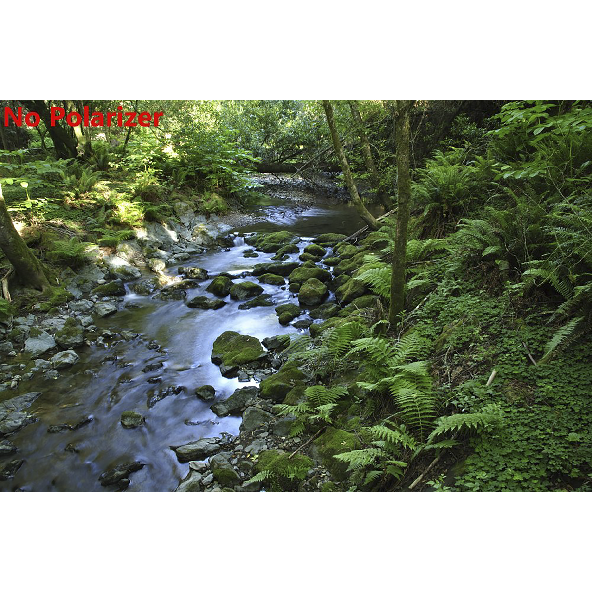 Manfrotto Essential 62mm Camera Lens CPL Filter (Multiple Layer Coating) Manfrotto Essential 62mm Camera Lens CPL Filter (Multiple Layer Coating)_6