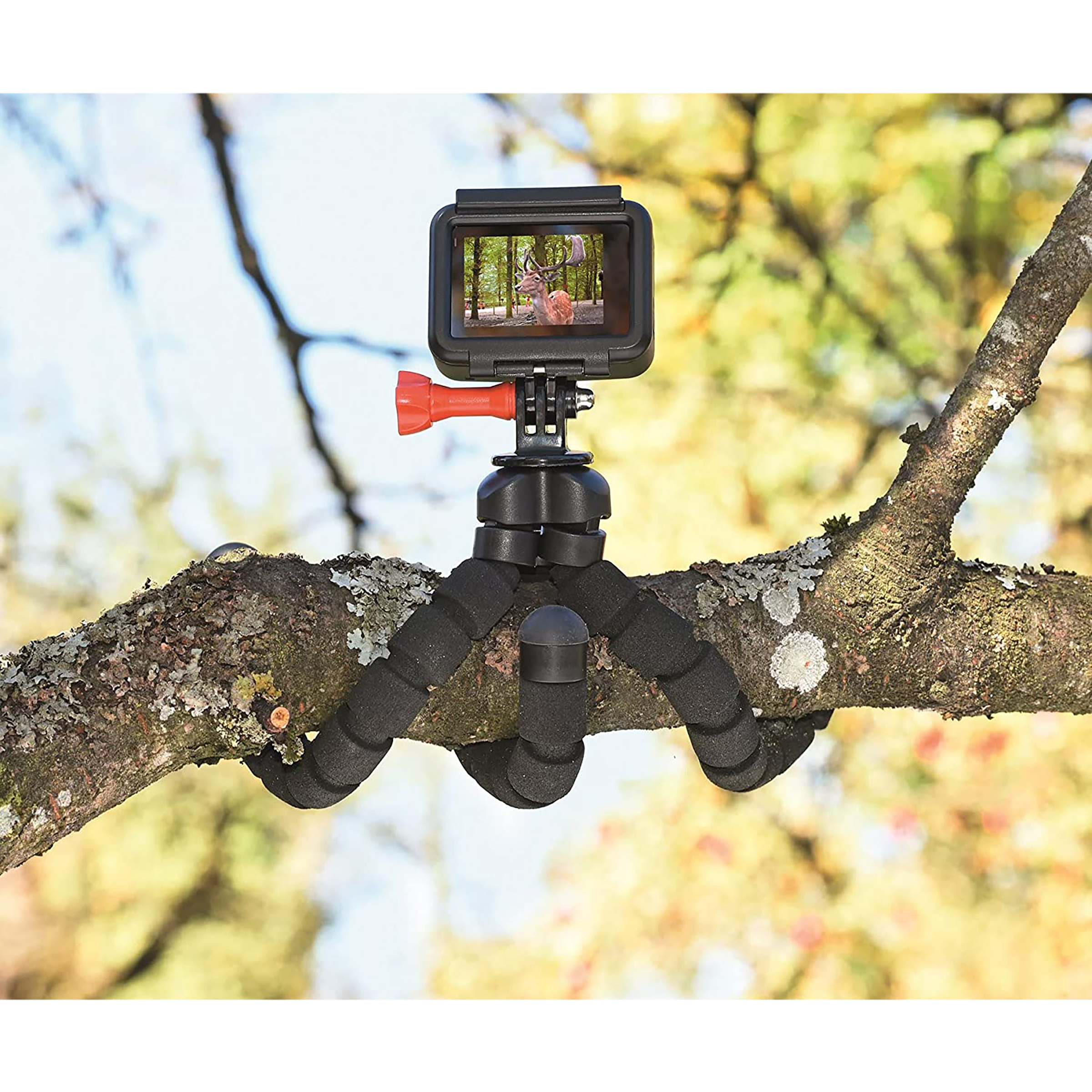 hama Flex 26cm Adjustable GorillaPod for Camera (Flexible Legs, Black) hama Flex 26cm Adjustable GorillaPod for Camera (Flexible Legs, Black)_3