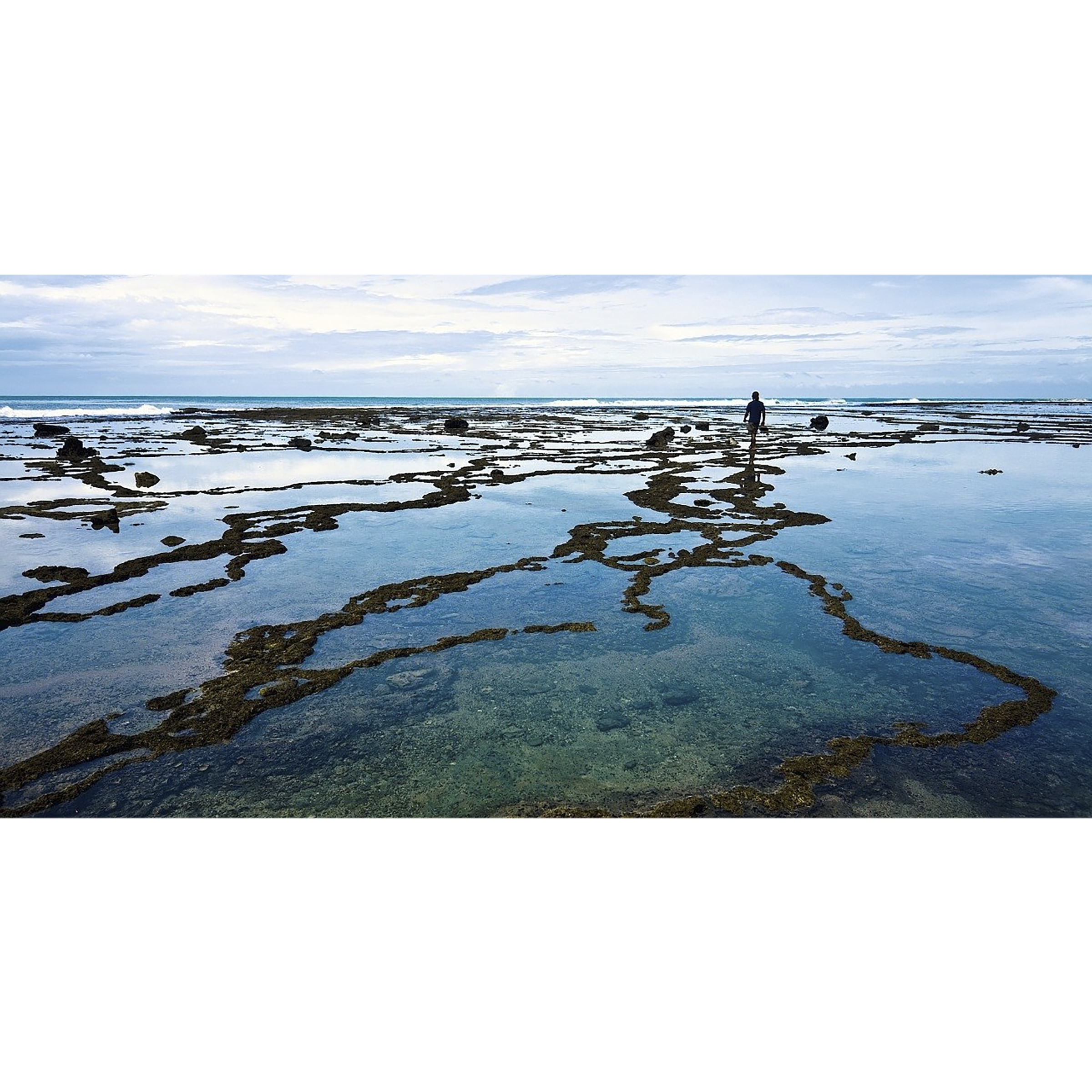 Carl Zeiss T* 77mm Camera Lens UV Filter (Anti Reflective Coating)_3