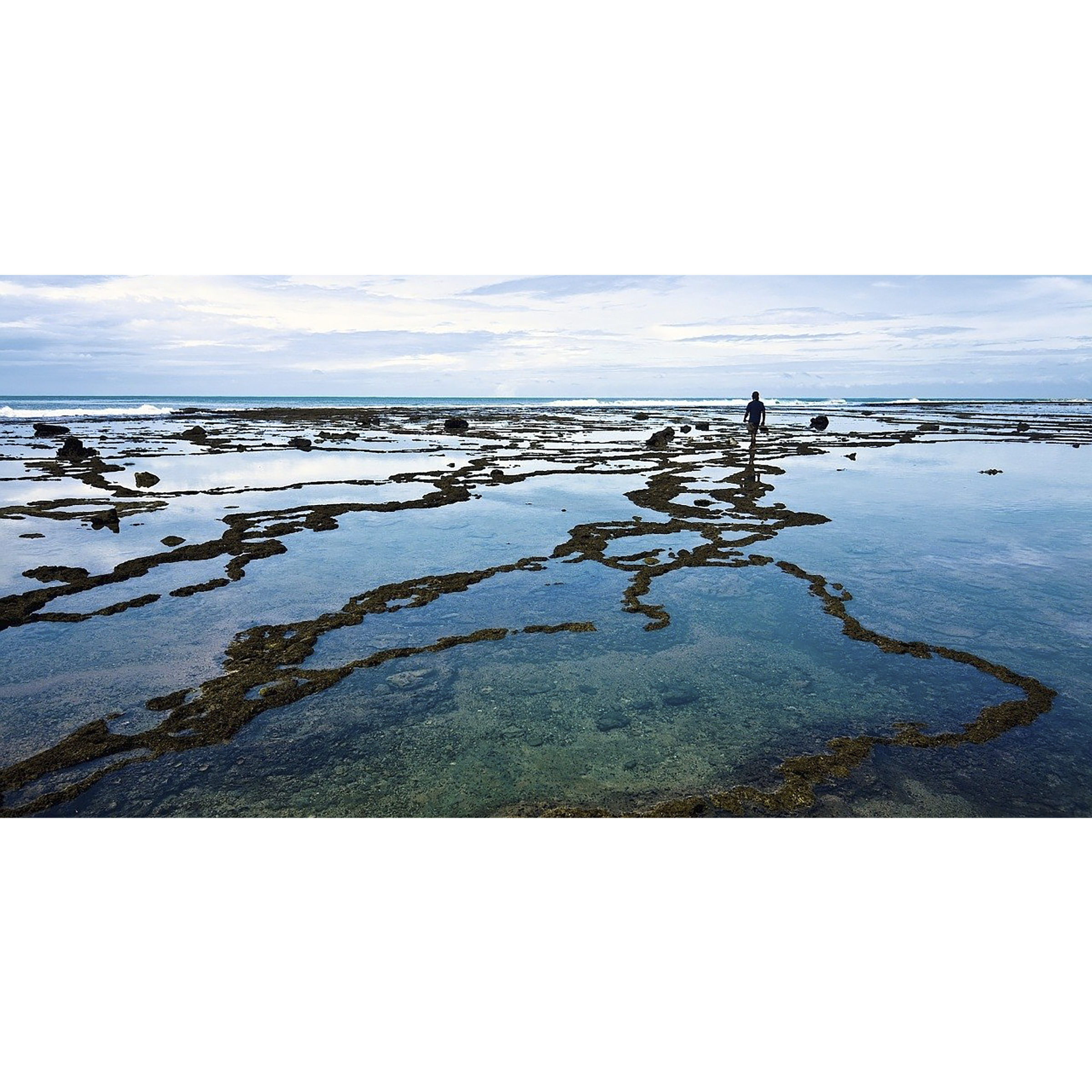 Carl Zeiss T* 55mm Camera Lens Polarizer Filter (Anti Reflective Coating) Carl Zeiss T* 55mm Camera Lens Polarizer Filter (Anti Reflective Coating)_3