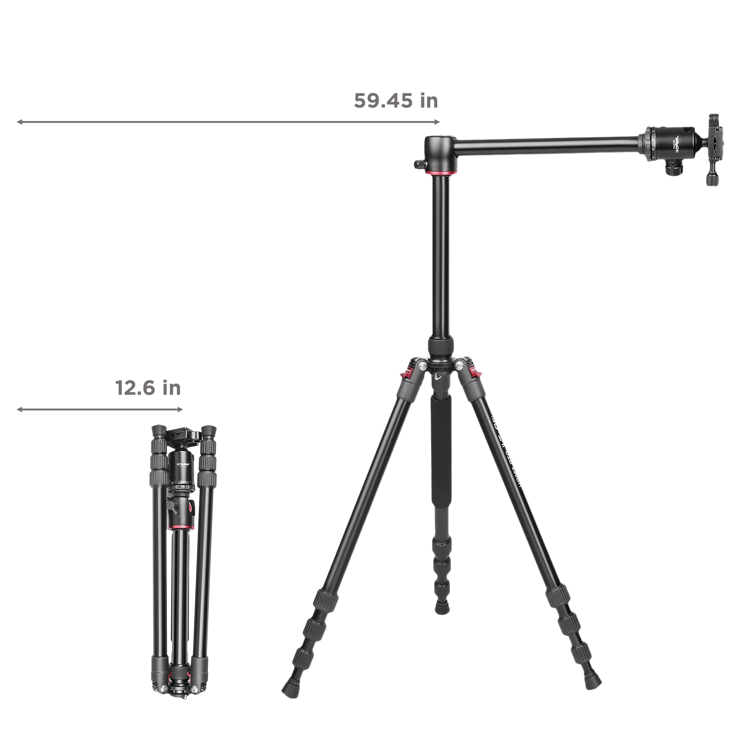 DigiTek DTR 520 BH 151cm Adjustable Tripod for Camera (Swivel Pan Head, Black)_3