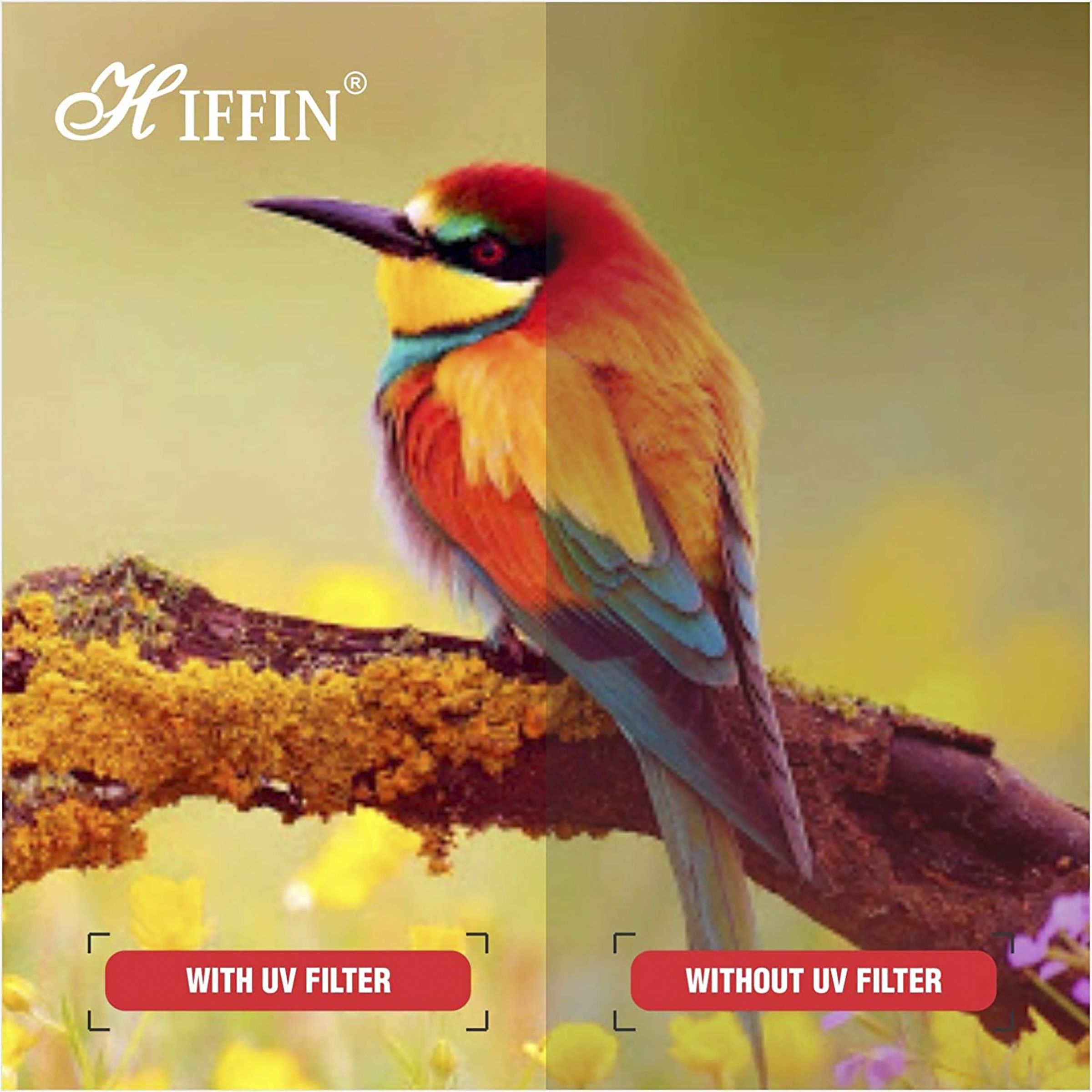 HIFFIN Super DMC Ultra Slim 77mm Camera Lens UV Filter (16 Layers Nano Coating) HIFFIN Super DMC Ultra Slim 77mm Camera Lens UV Filter (16 Layers Nano Coating)_8