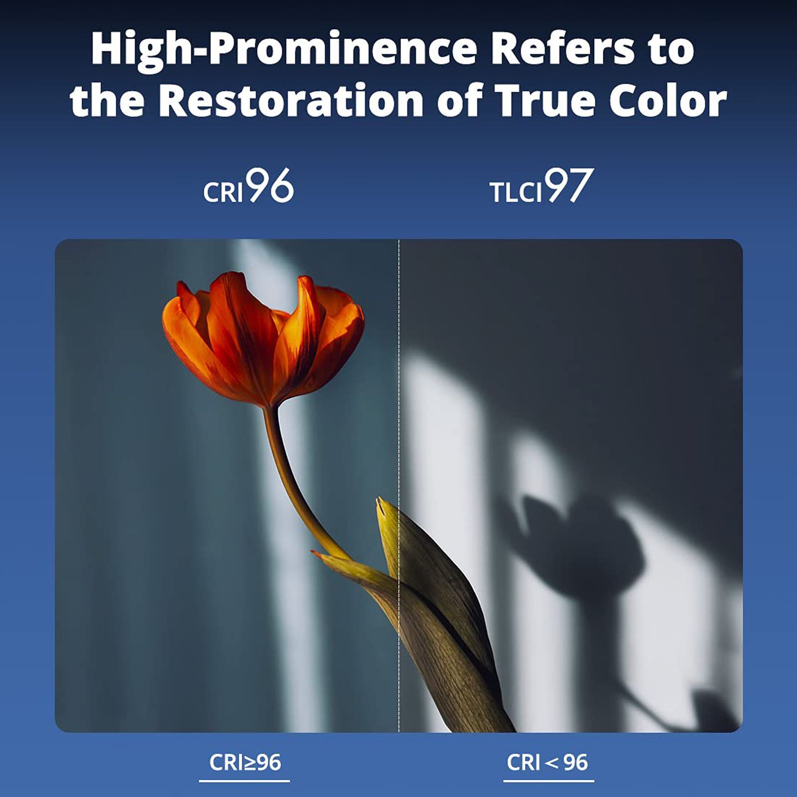 Godox ML60 LED Light with Remote Control for Still Photography & Videography (8 Fx Lighting Effects)_3