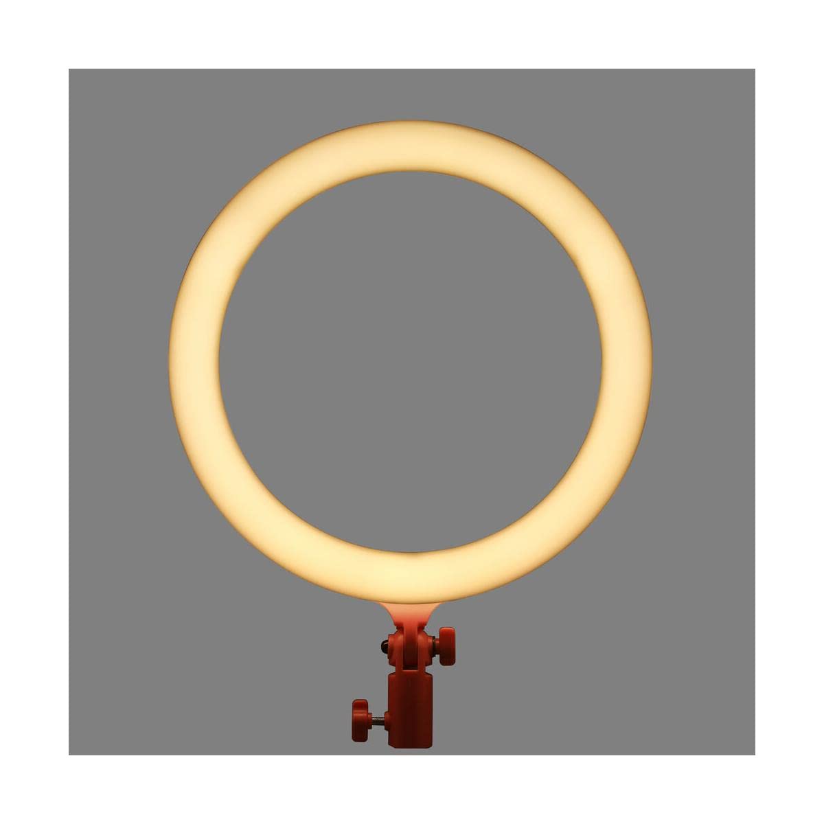 Godox LR120 Ring Light with Mobile Holder for Photography & Videography (Built-In Bi Color)_7