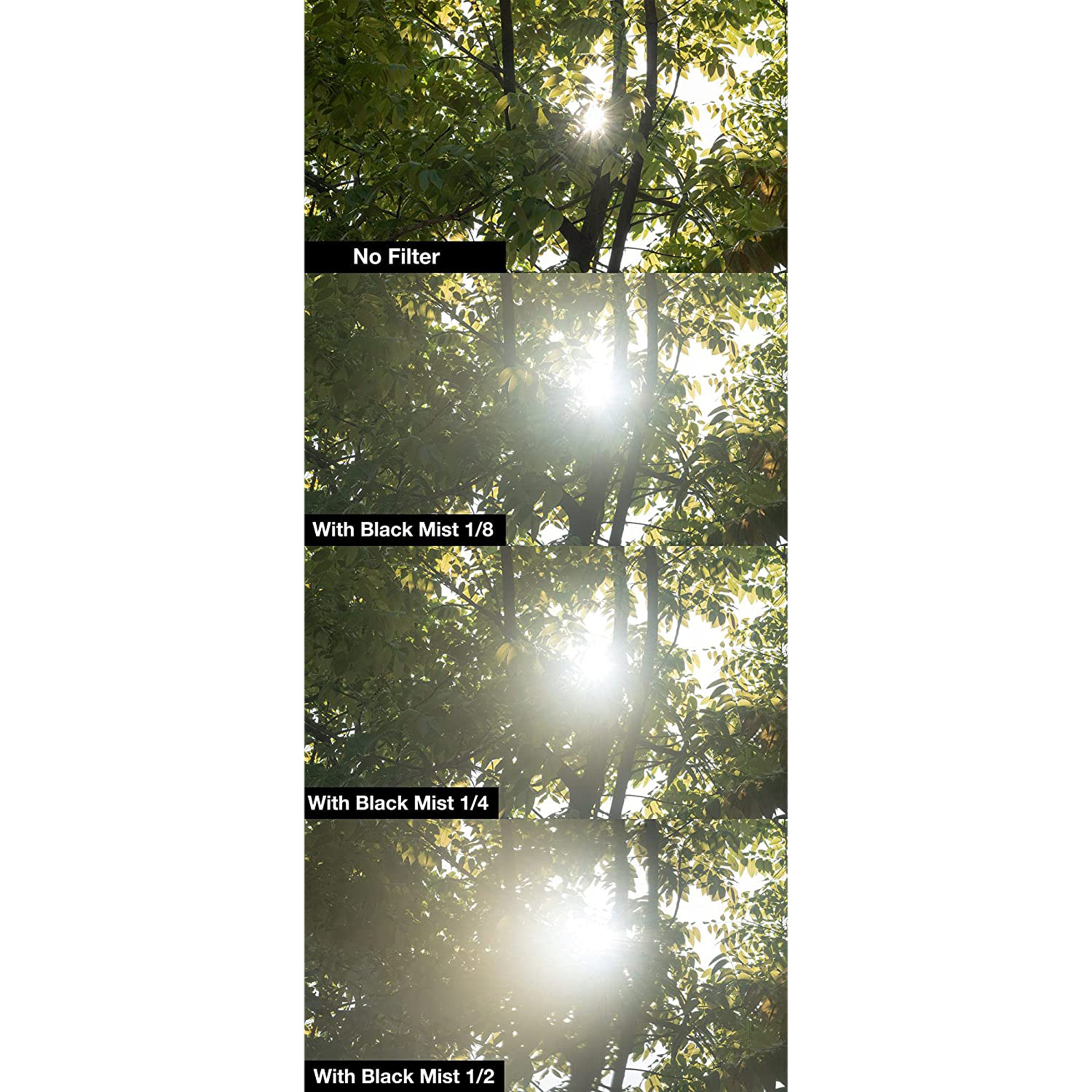 NiSi Black Mist 1/4 77mm Camera Lens Black Mist Filter (Reduces Highlights & Lower Contrast)_6