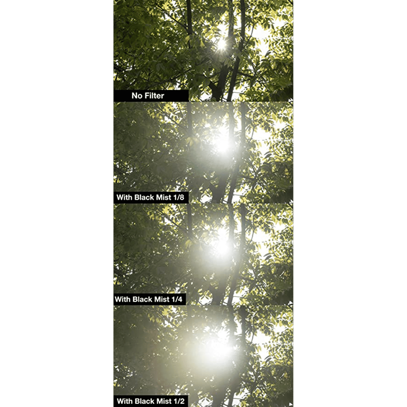 NiSi Black Mist 1/4 82mm Camera Lens Black Mist Filter (Reduces Highlights & Lower Contrast) NiSi Black Mist 1/4 82mm Camera Lens Black Mist Filter (Reduces Highlights & Lower Contrast)_6