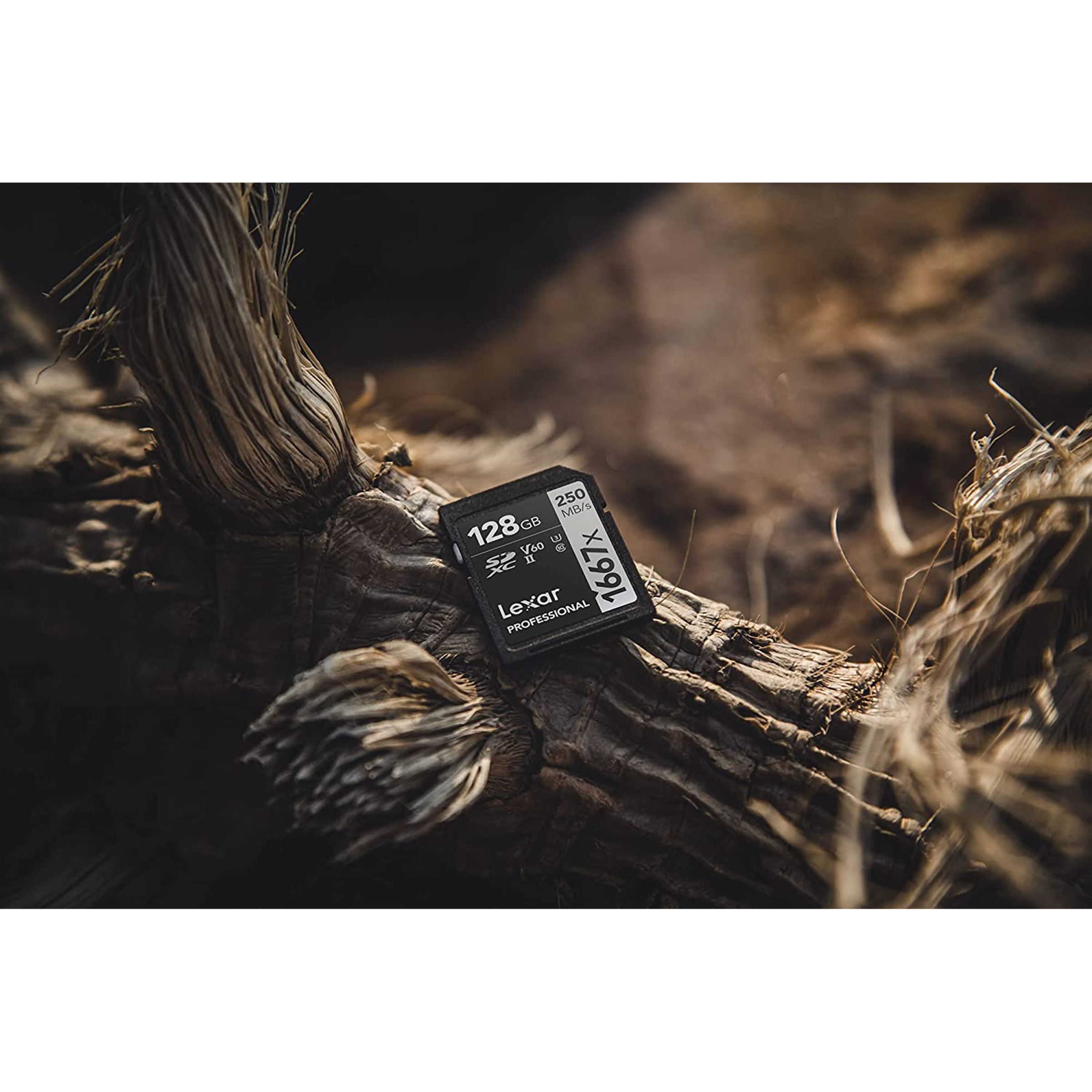 Lexar Professional 1667x SILVER Series SDXC 256GB Class 10 250MB/s Memory Card_8