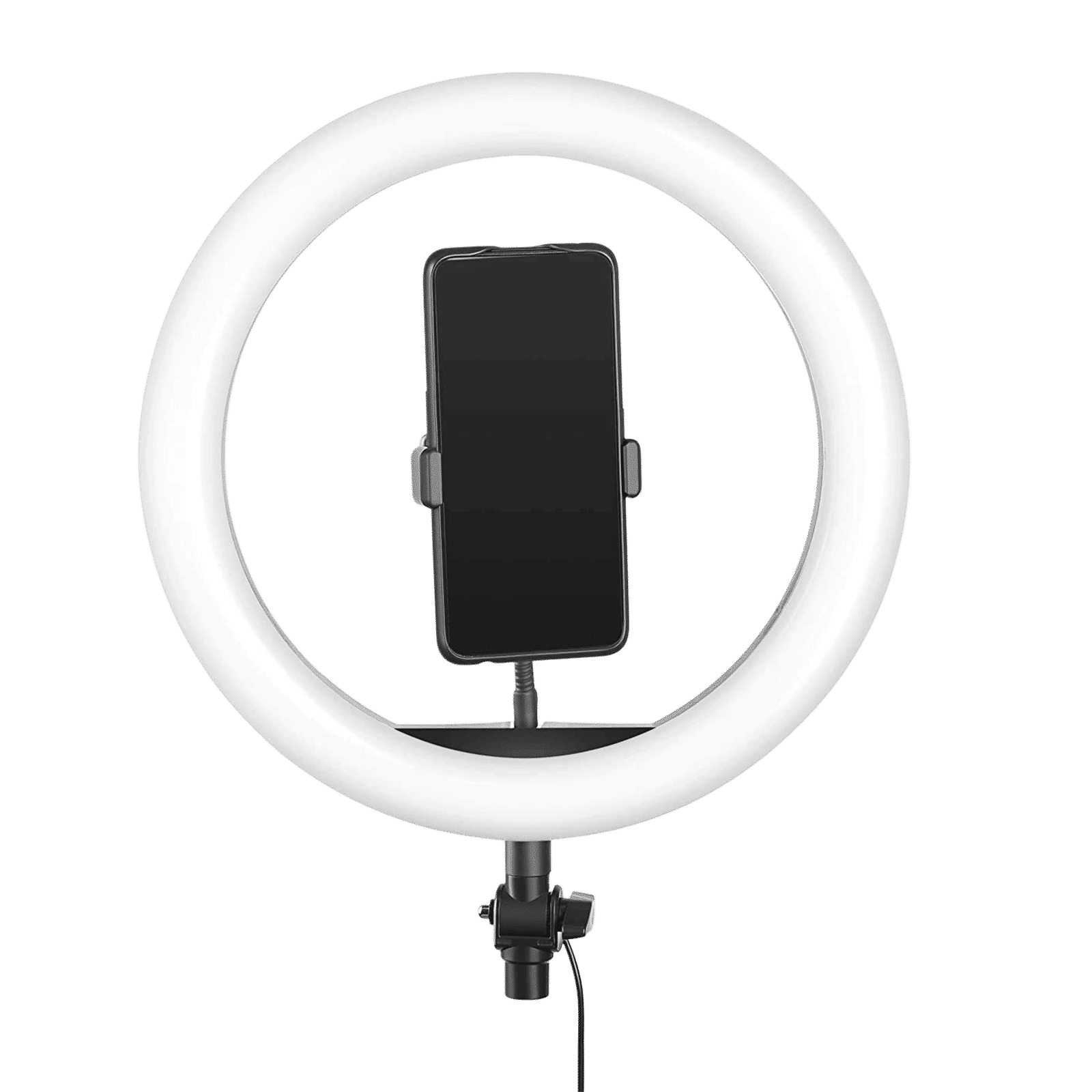 Digitek Ring LED 12 Inches PEX_1