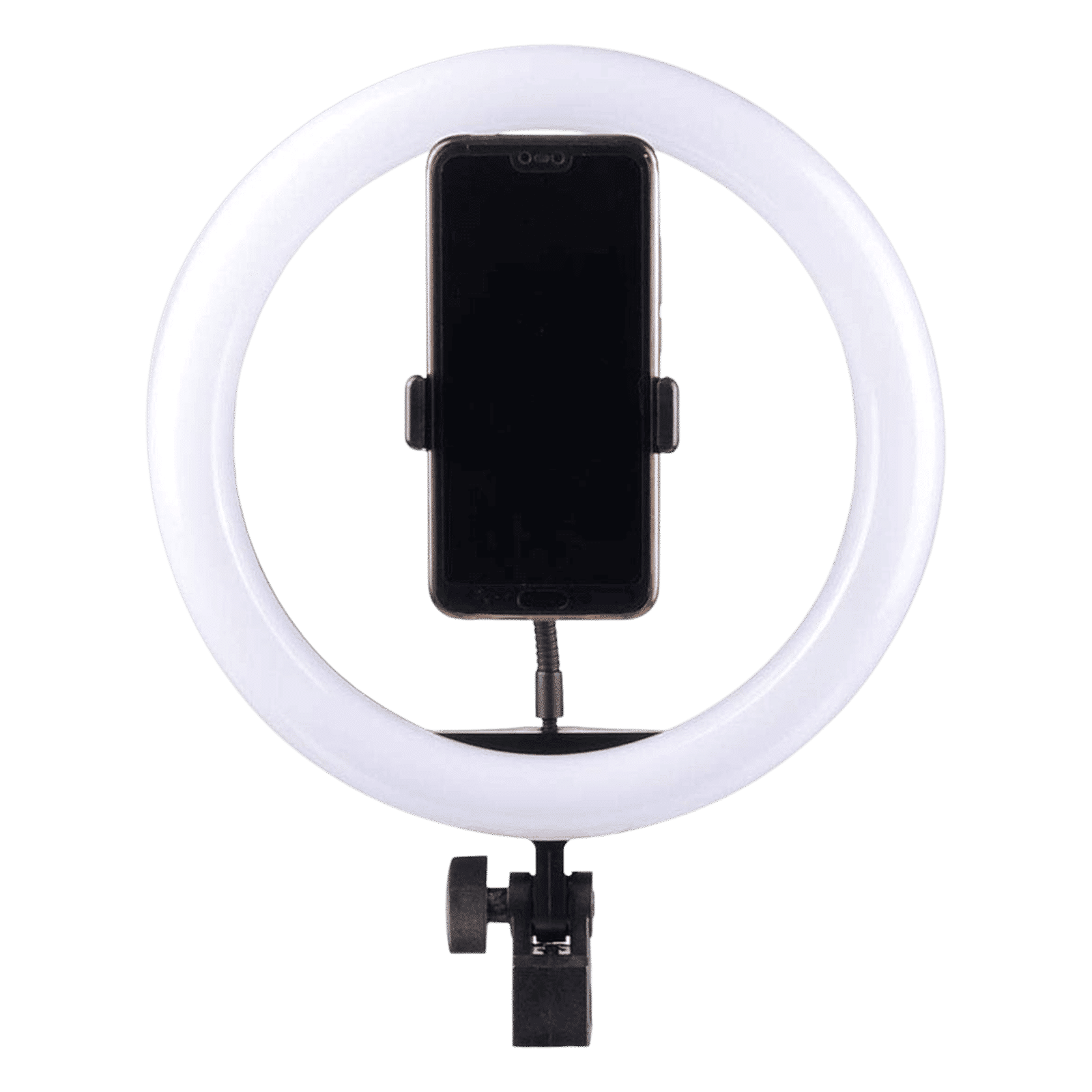 Digitek Ring LED 12 Inches PEX_3
