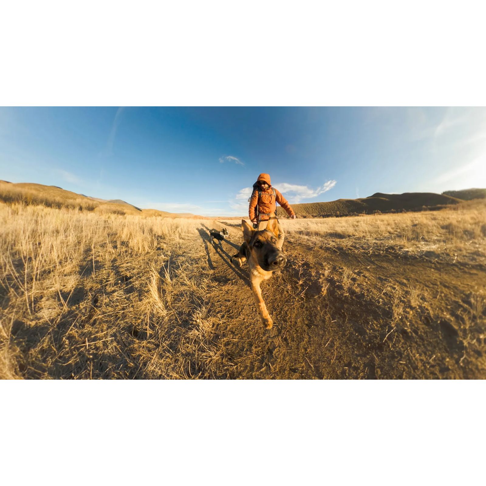 GoPro 4 Feet Extension Pole Finger Mount Adapter for Camera (Invisible 360 Grip, Black) GoPro 4 Feet Extension Pole Finger Mount Adapter for Camera (Invisible 360 Grip, Black)_16