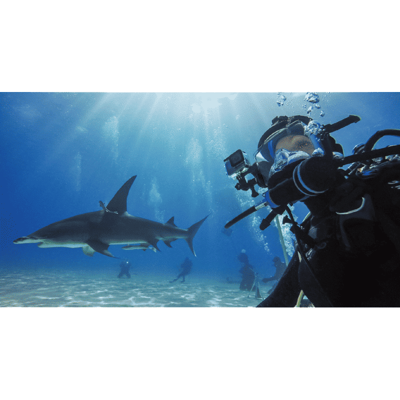 GoPro Protective Housing for Hero 8 (AJDIV-001, Black)_6