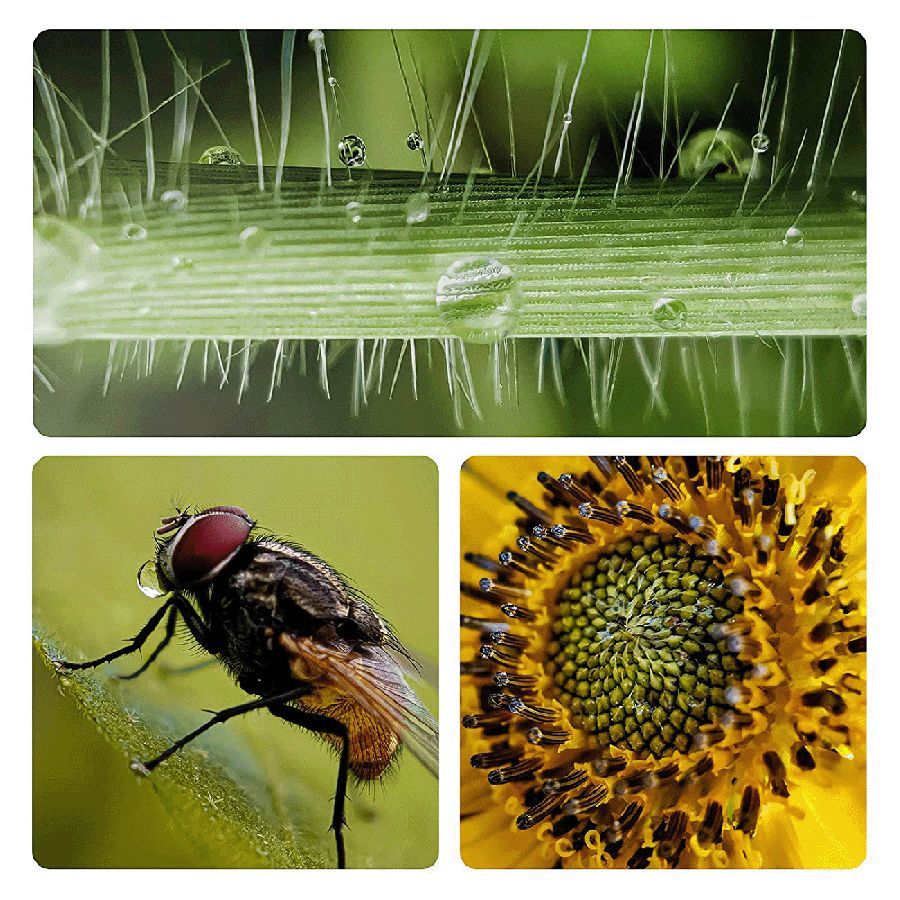 SKYVIK Signi One 25mm Macro Lens (CL-MC25, Black)_7