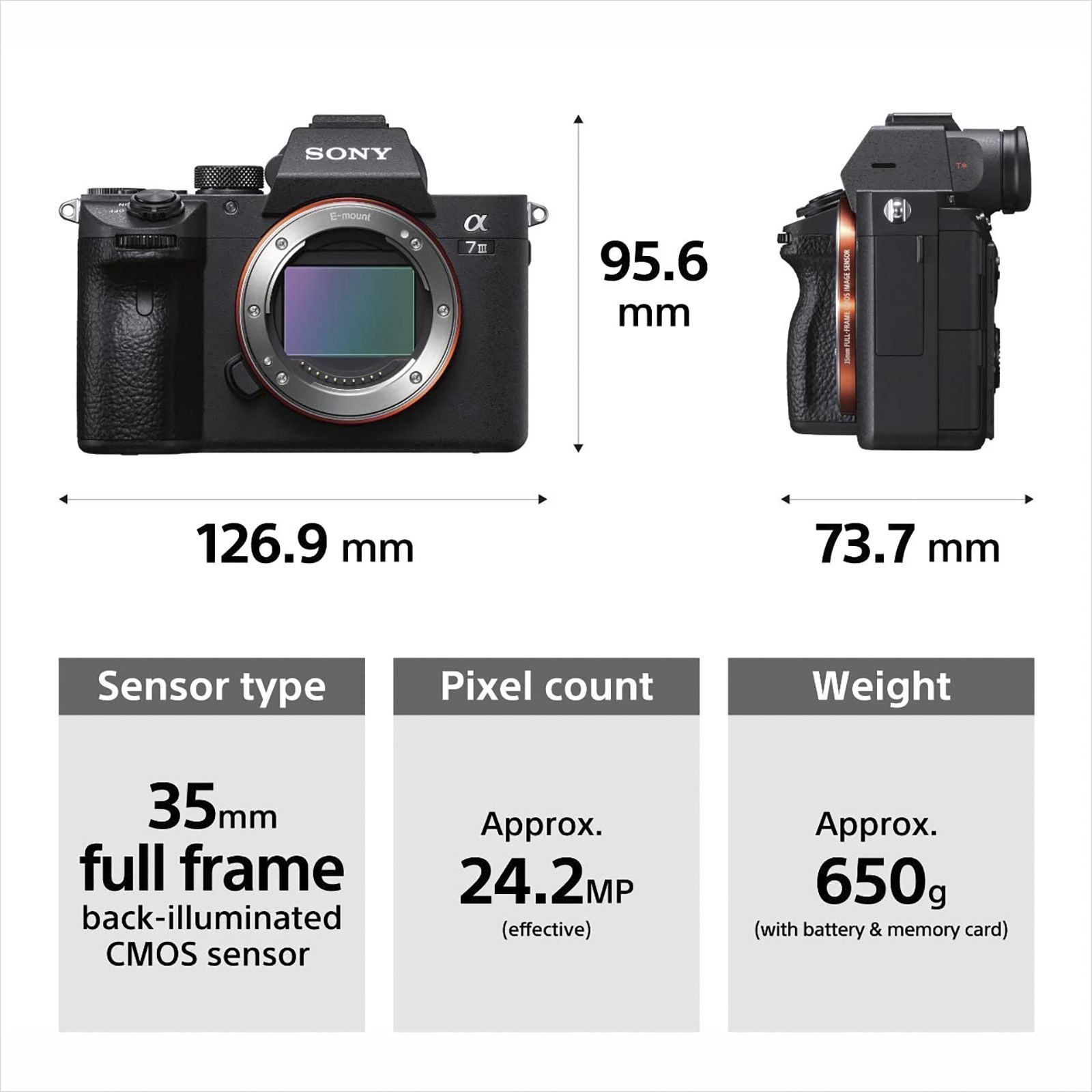 SONY Alpha 7 III 24.2MP Full Frame Camera (Body Only, 35.6 x 23.8 mm Sensor, Tiltable Screen)_11