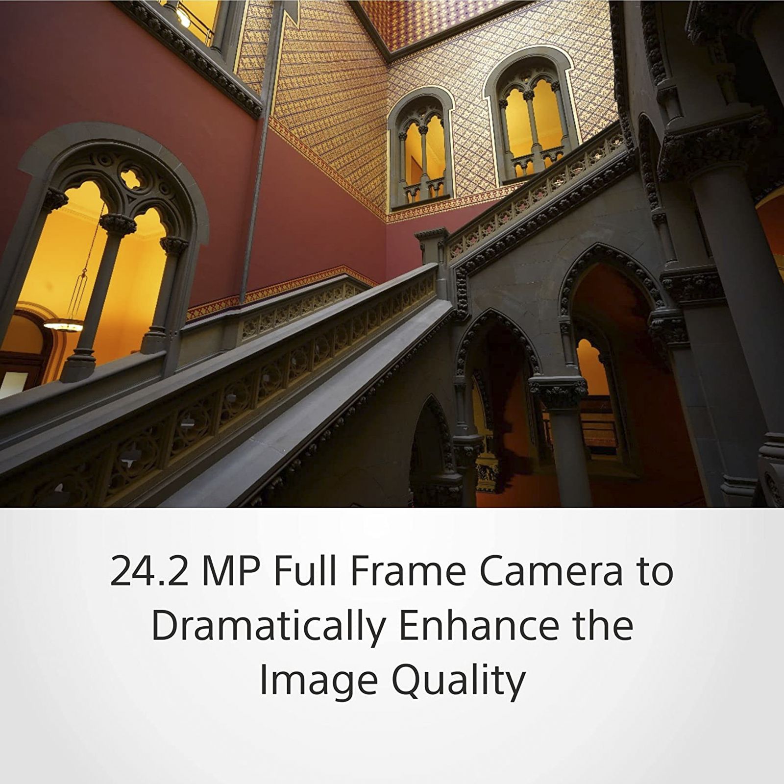 SONY Alpha 7 III 24.2MP Full Frame Camera (Body Only, 35.6 x 23.8 mm Sensor, Tiltable Screen)_16