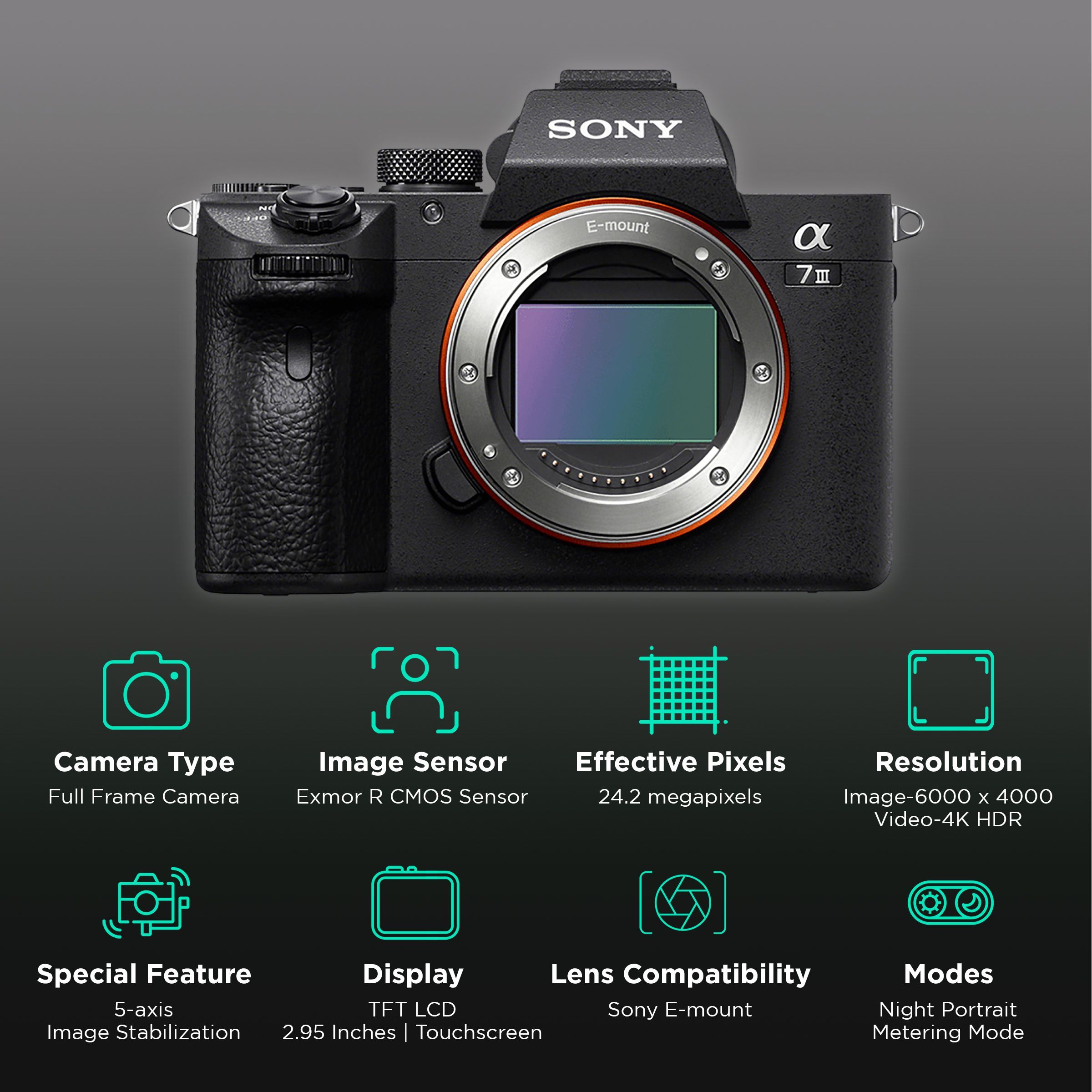 SONY Alpha 7 III 24.2MP Full Frame Camera (Body Only, 35.6 x 23.8 mm Sensor, Tiltable Screen)_2