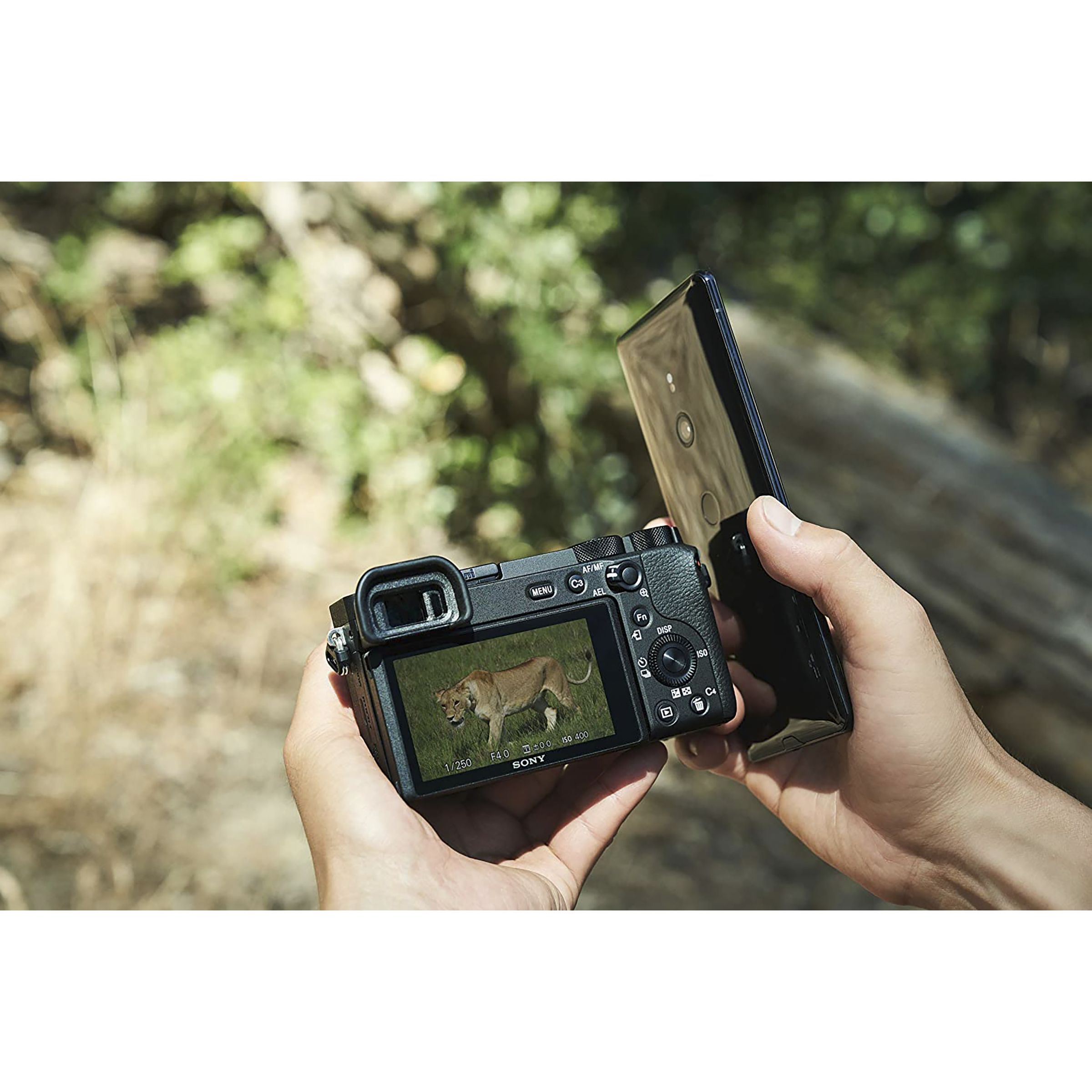 SONY Alpha 6600 24.2MP Mirrorless Camera (18-135 mm Lens, 23.5 x 15.6 mm Sensor, Tiltable LCD Screen)_16