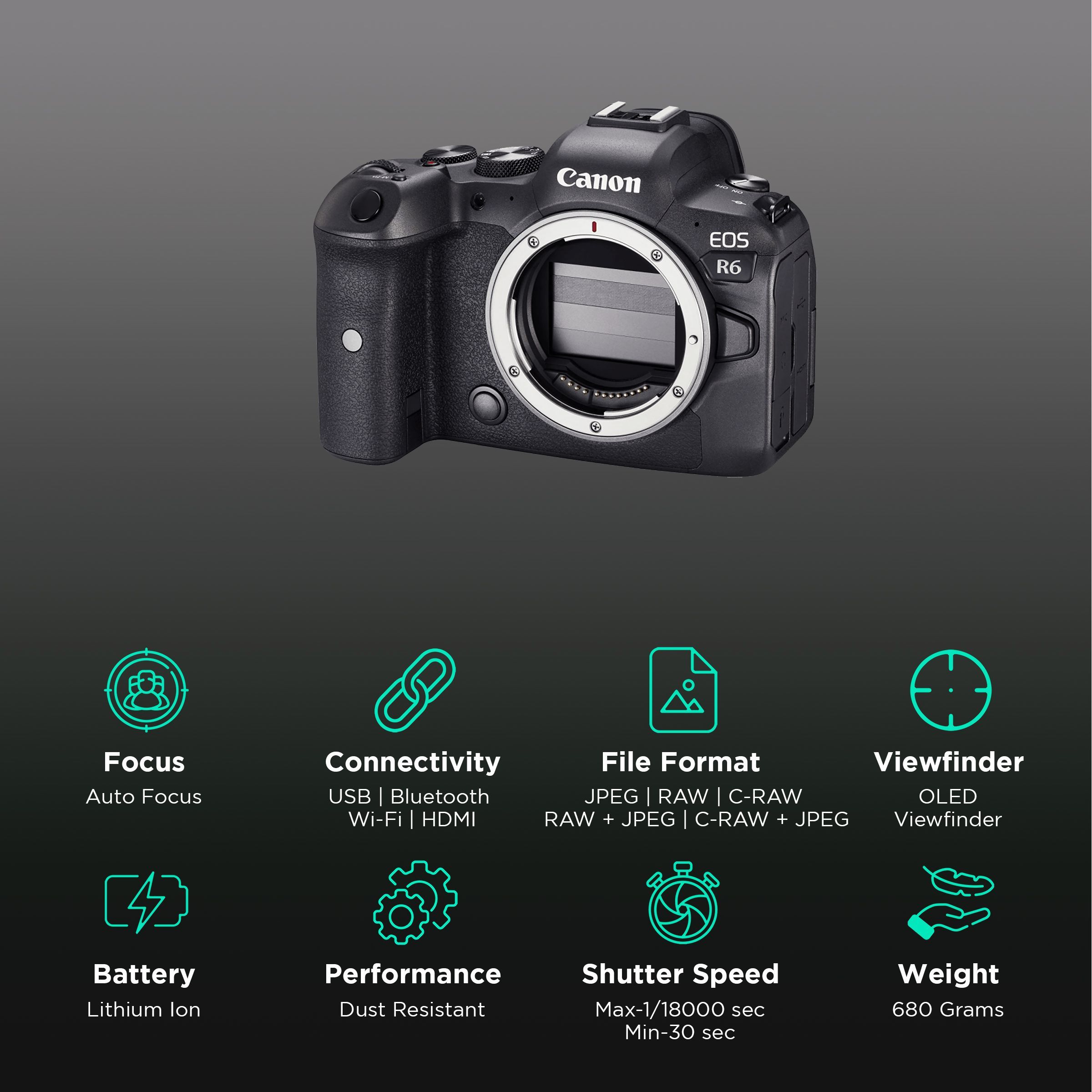 Canon EOS R6 20.1MP Mirrorless Camera (Body Only, 36 x 24 mm Sensor, Vari-Angle Touch Screen LCD)_3