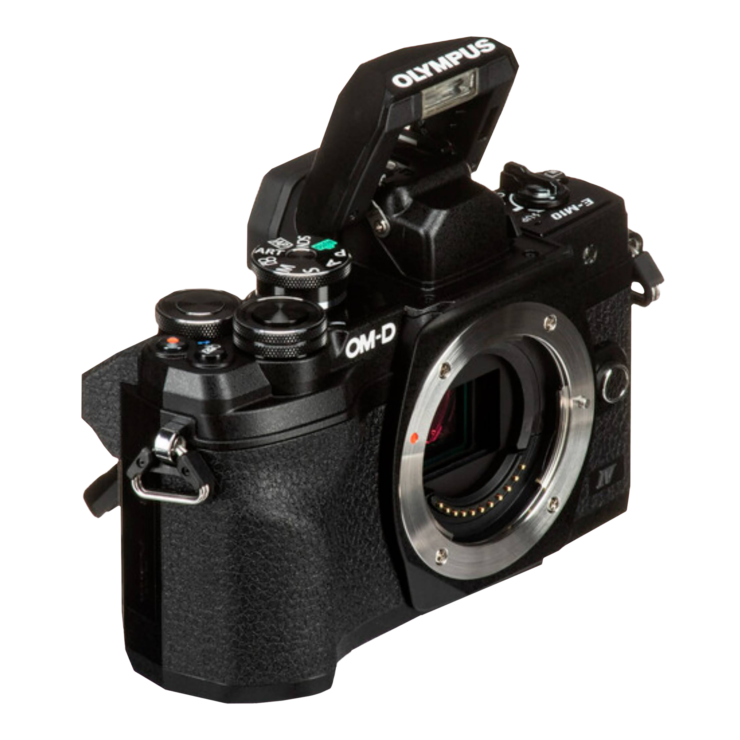 OLYMPUS OM-D E-M10 Mark IV 20.3MP Mirrorless Camera (14-42 mm Lens, 17.3 x 13 mm Sensor, Tiltable Screen)_10