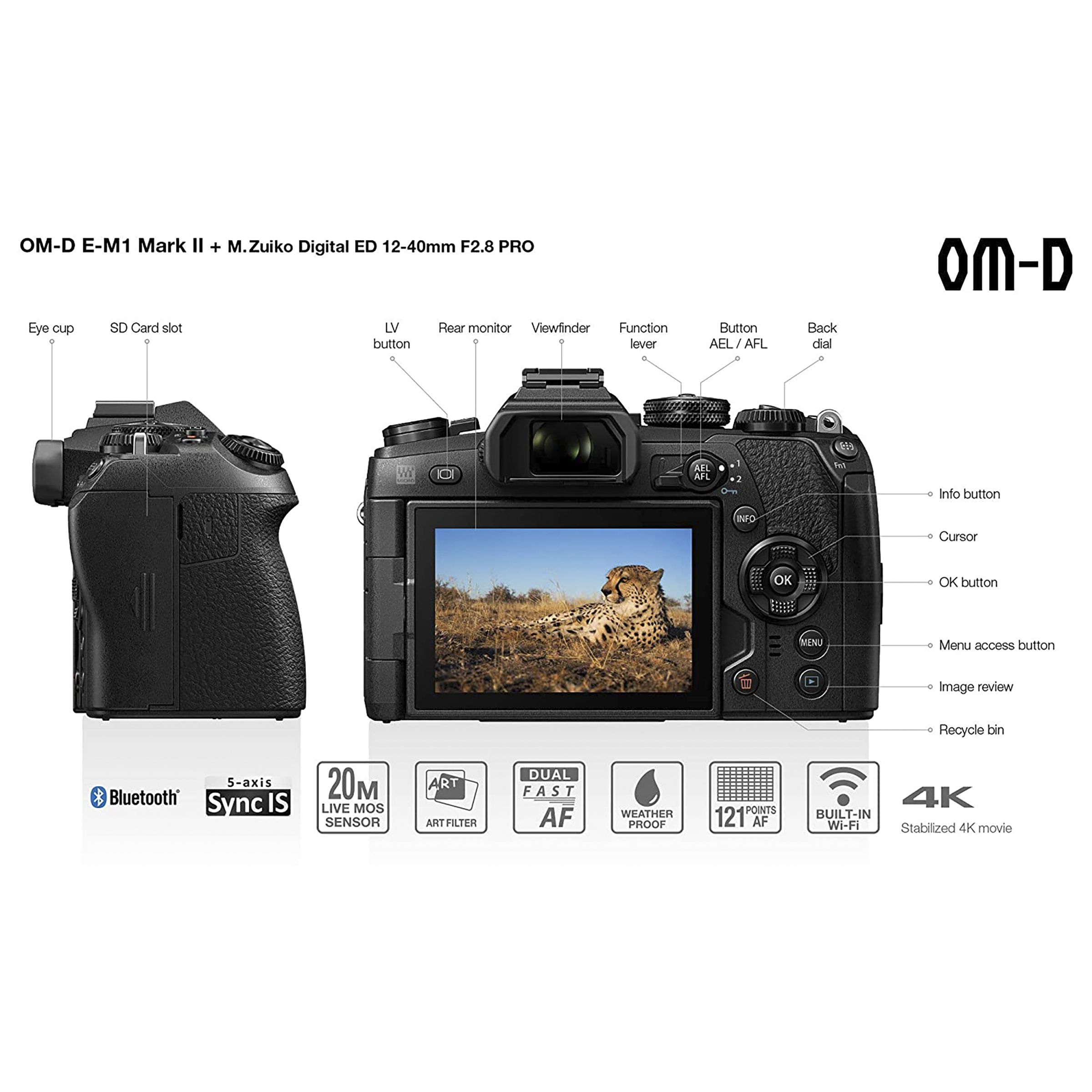 OLYMPUS OM-D E-M1 Mark II 20.4MP Mirrorless Camera (12-40 mm Lens, 17.4 x 13.0 mm Sensor, View Finder Magnification) OLYMPUS OM-D E-M1 Mark II 20.4MP Mirrorless Camera (12-40 mm Lens, 17.4 x 13.0 mm Sensor, View Finder Magnification)_15