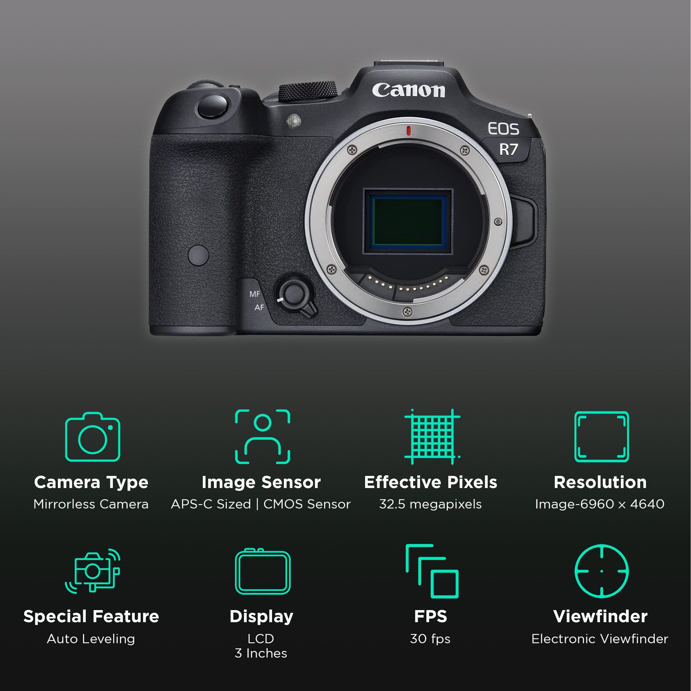 Canon EOS R7 32.5MP Mirrorless Camera (Body Only, 22.3 x 14.8 mm Sensor, Vari-Angle Touch Screen LCD)_2